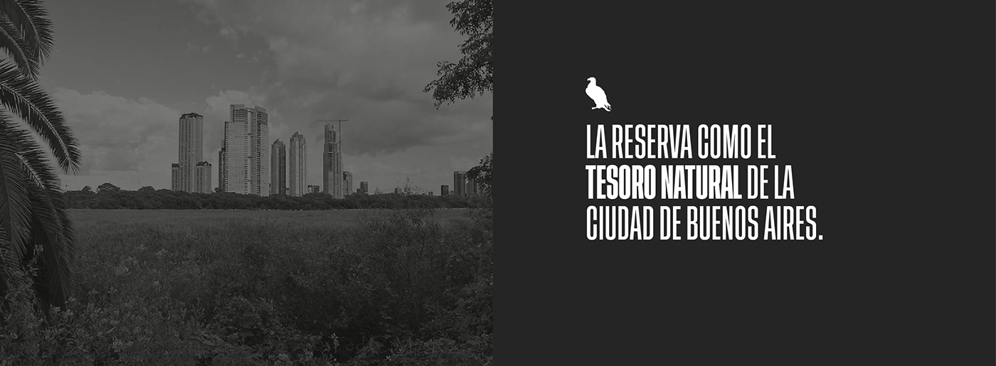 arca aves Costanera ecologia fadu Parque rebranding reserva Reserva Ecológica Yantorno