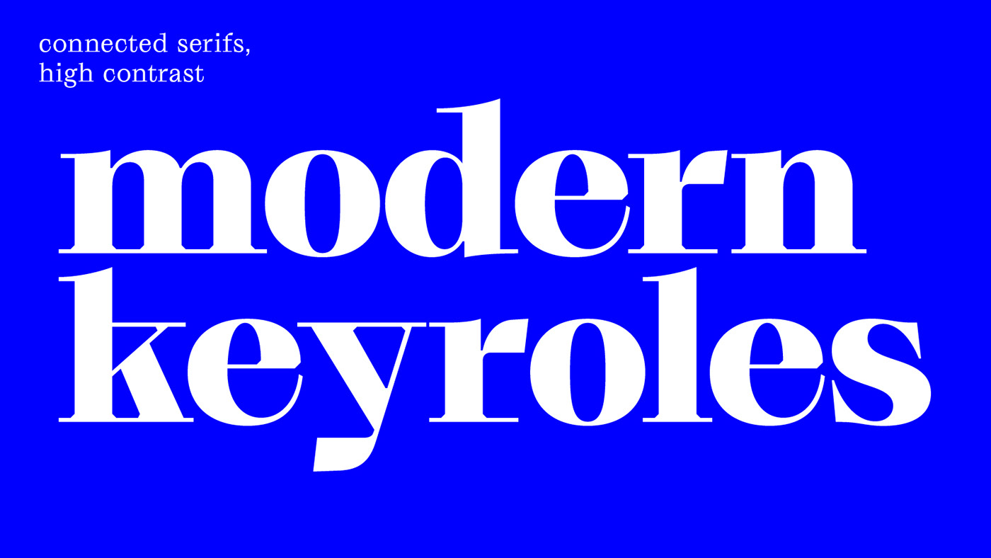 custom type free fonts font download Identity Design serif brand identity Serif Font Variable Font Logotype branding 