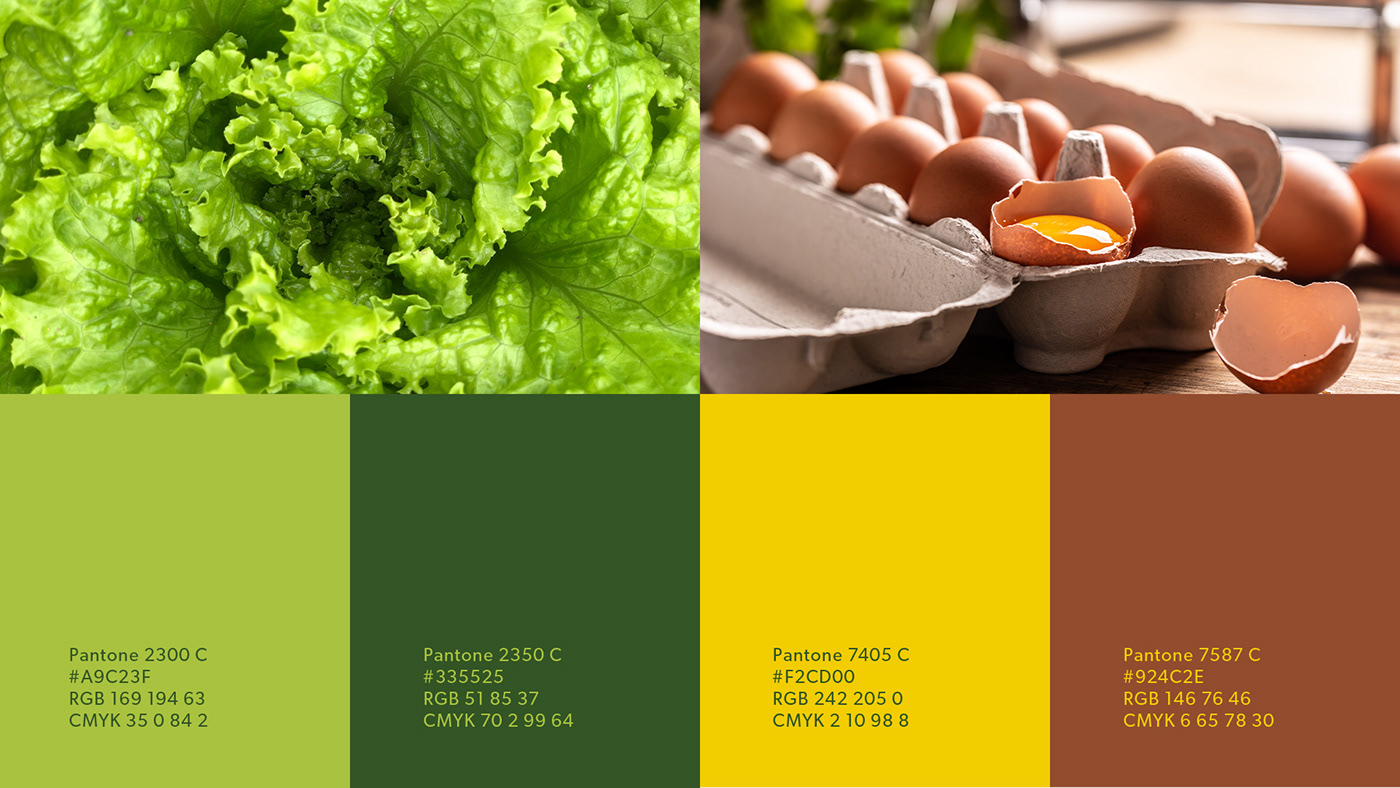 farmers market fruits Logo Design vegetables visual identity healthy brand identity Brand Design identity brand