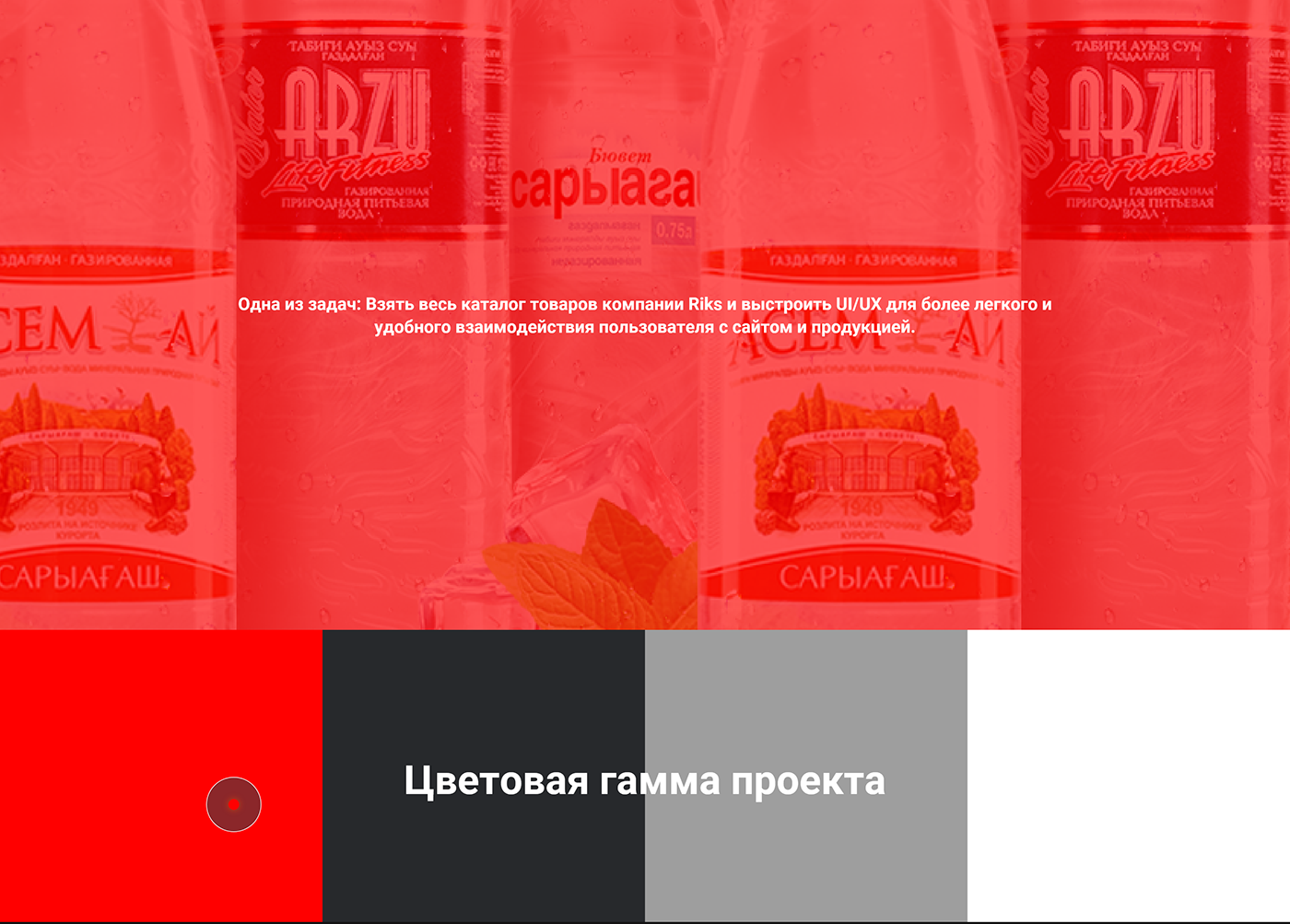 almaty black brand design red Riks site studio Web Design  Website