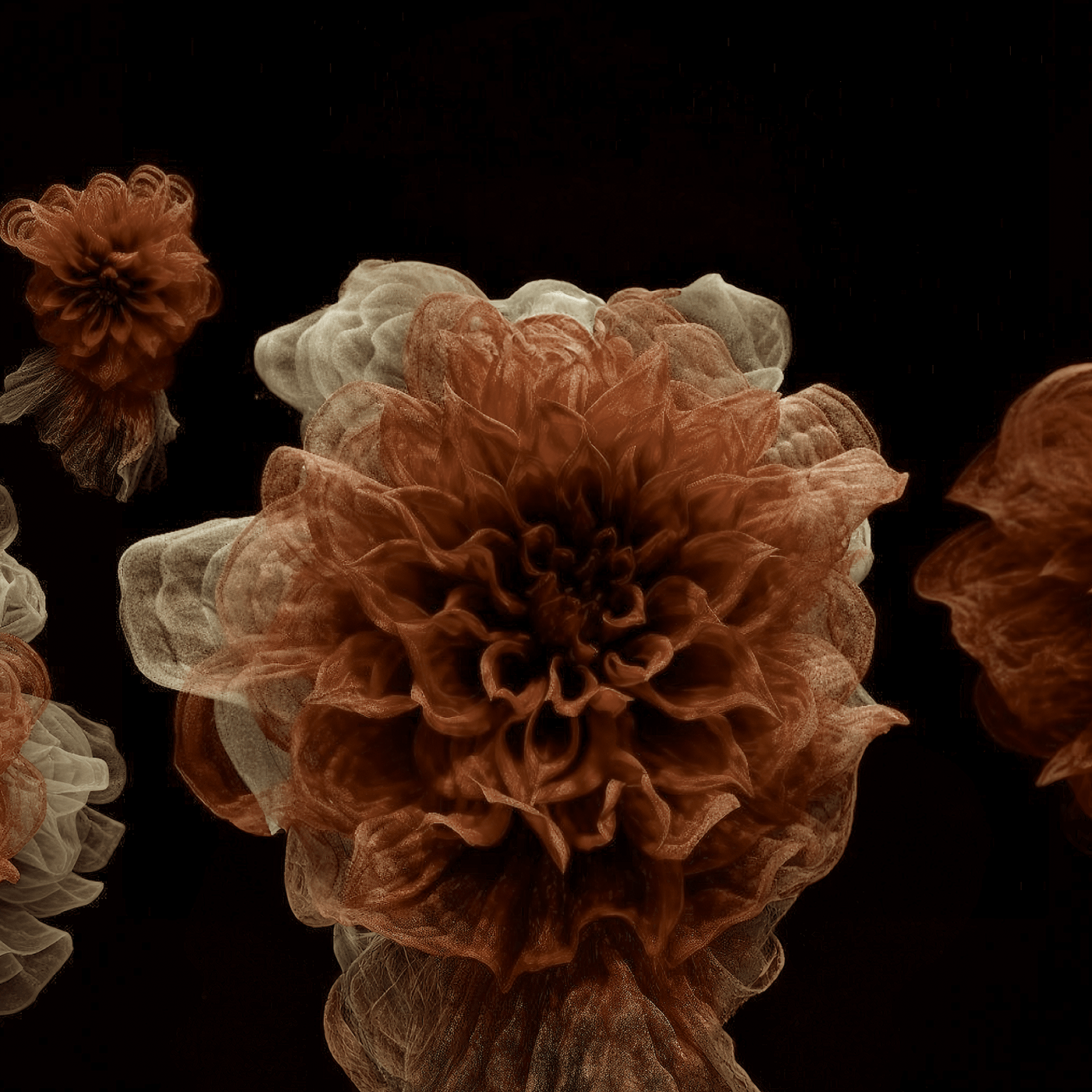 Digital Art  Flowers floral celestial artificial intelligence ai digital illustration