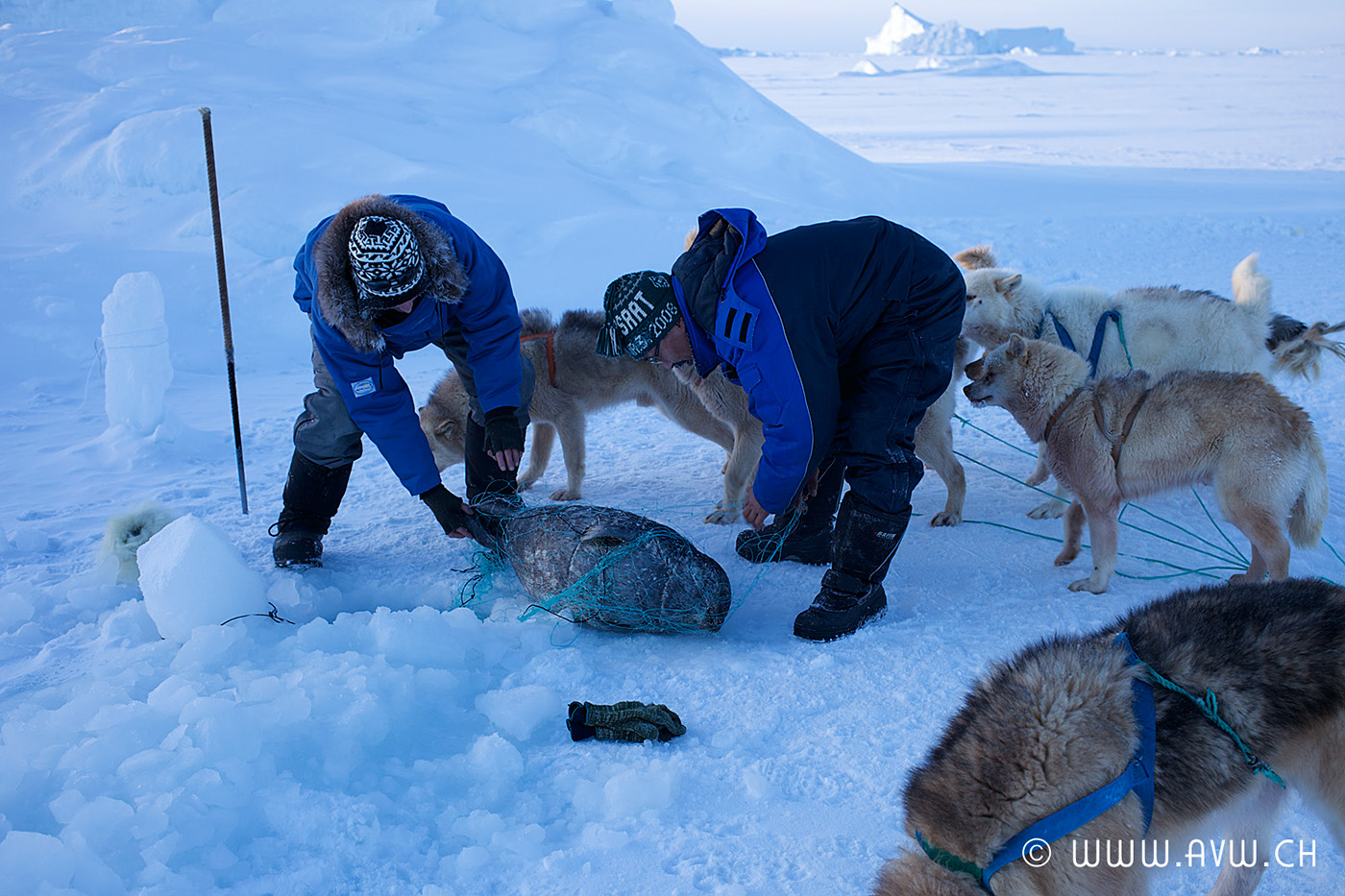 Travel Nature ice snow arktis Outdoor Abenteuer Inuit Greenland reportage