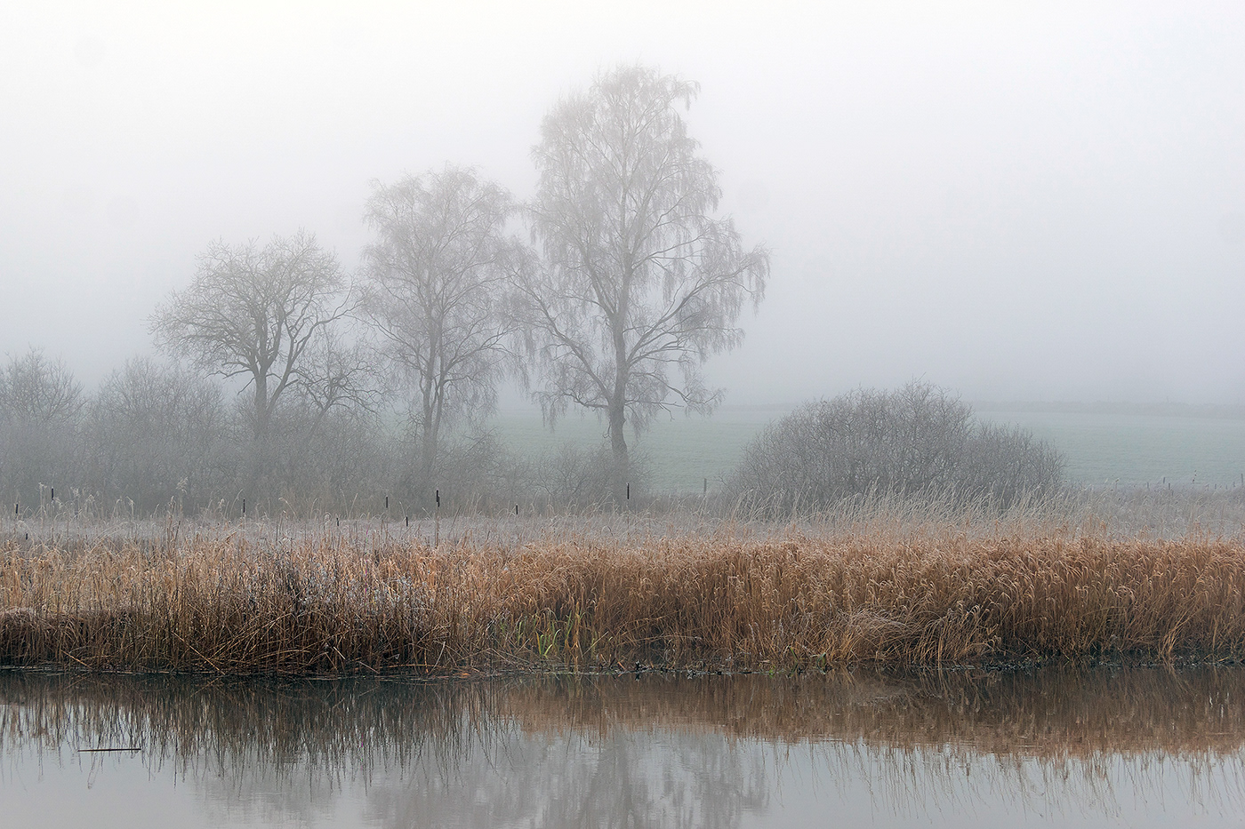 December Europe fog Landscape Nature river rural season Sweden water