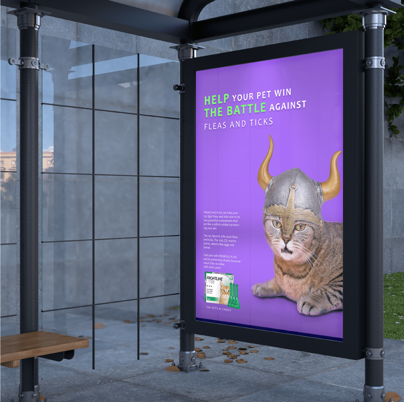 Advertising  banner brochure Cat design dog flyer Pet pets poster