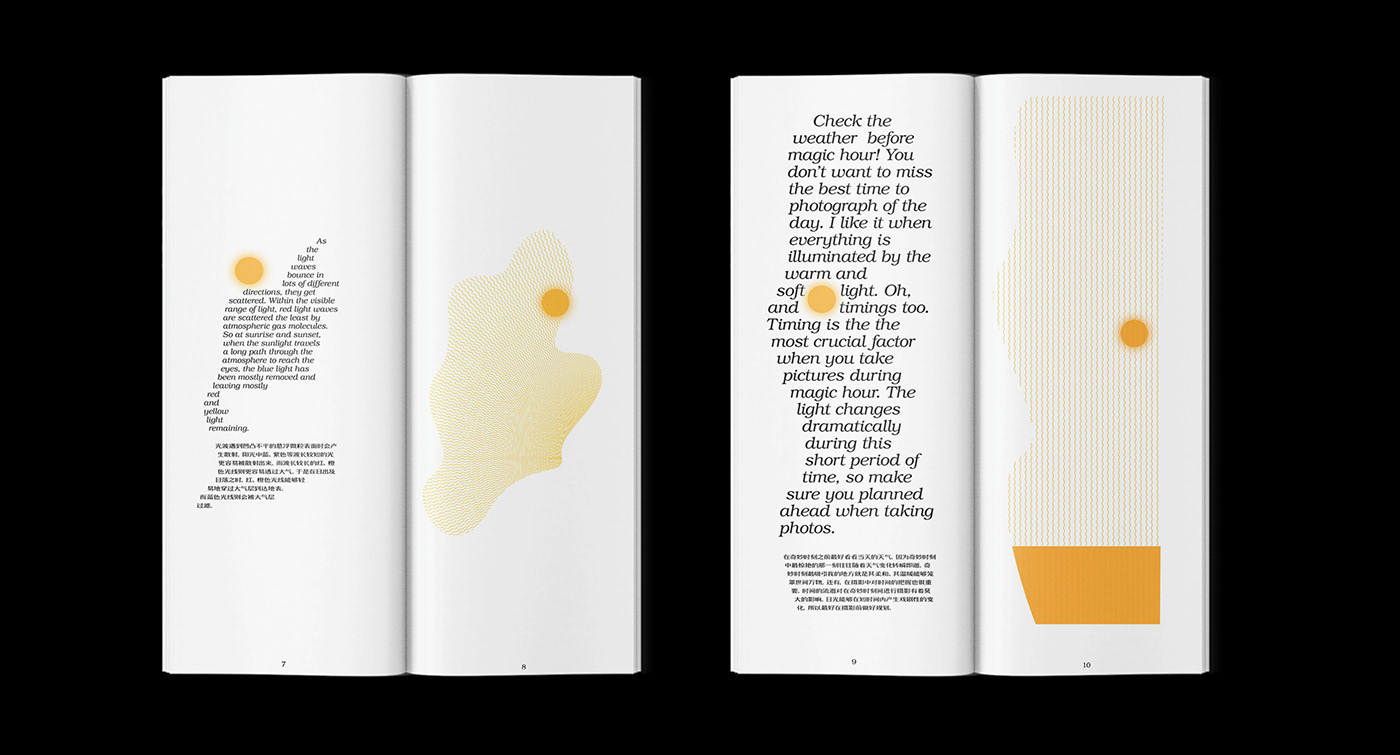 book book design self publisher publication publication design editorial design  artists books typography  