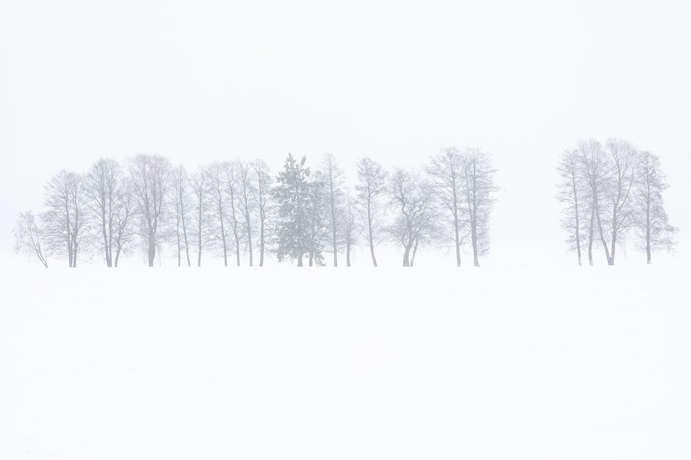 fine art finland Landscape minimal Minimalism photographer Photography  simple winter