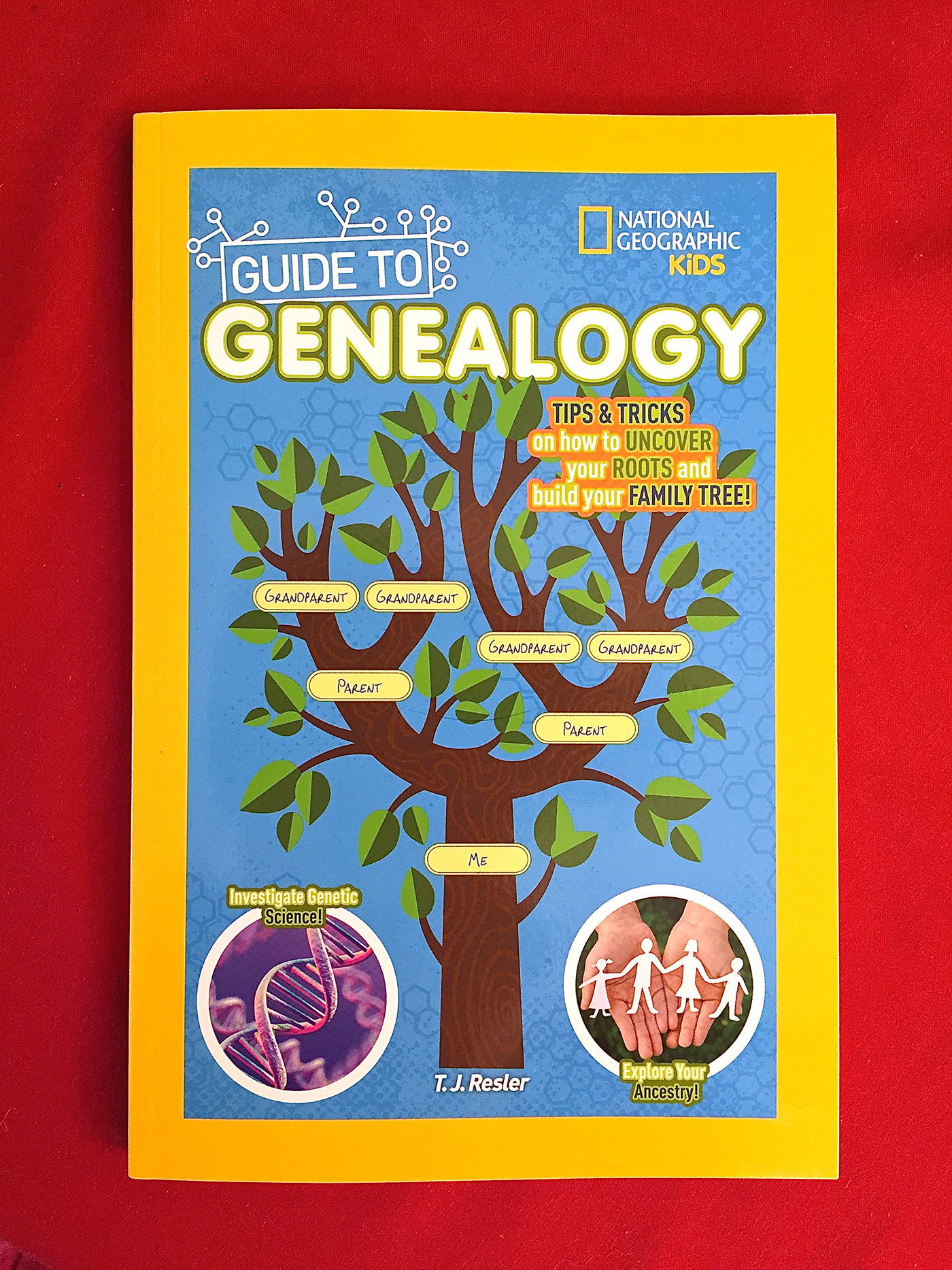 genealogy kids ILLUSTRATION  stem science Tree  family educational Family Tree family history