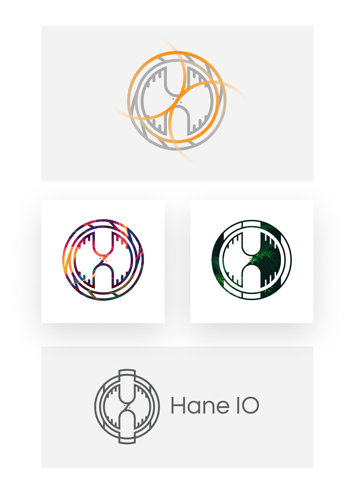branding  HaneIO logodesign