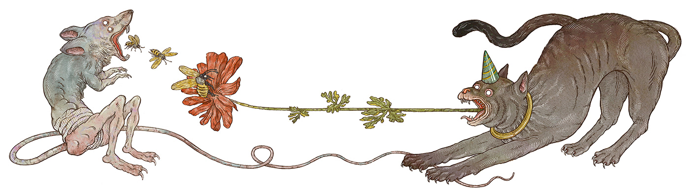 Federico Della Putta linus primavera illustrazione della putta insetti rondine fiori