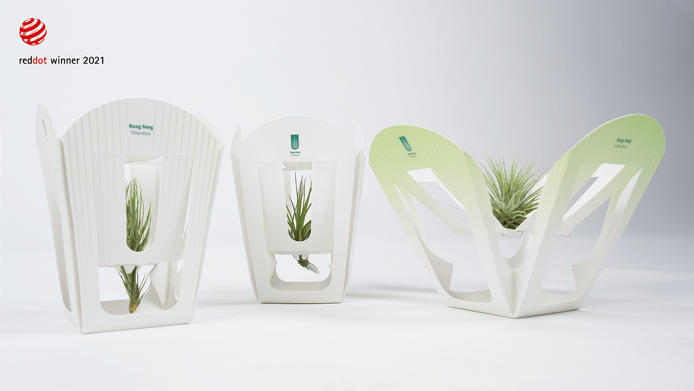 air pineapple air plants Changeable packaging package packaging design plants renewable Sustainable