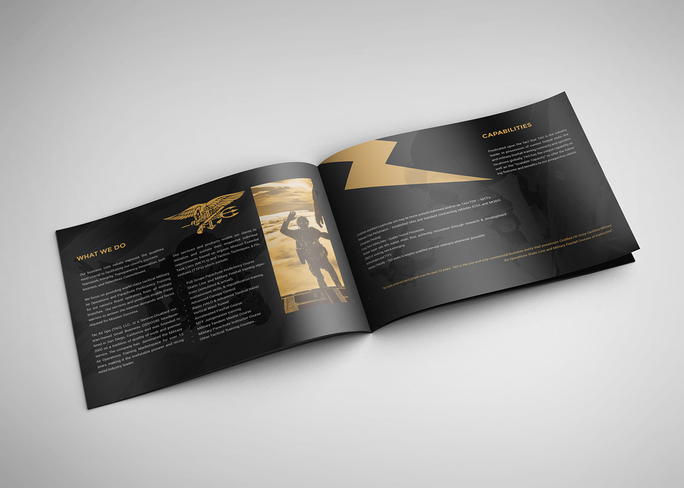brochure brochure design print design  graphic design  Layout