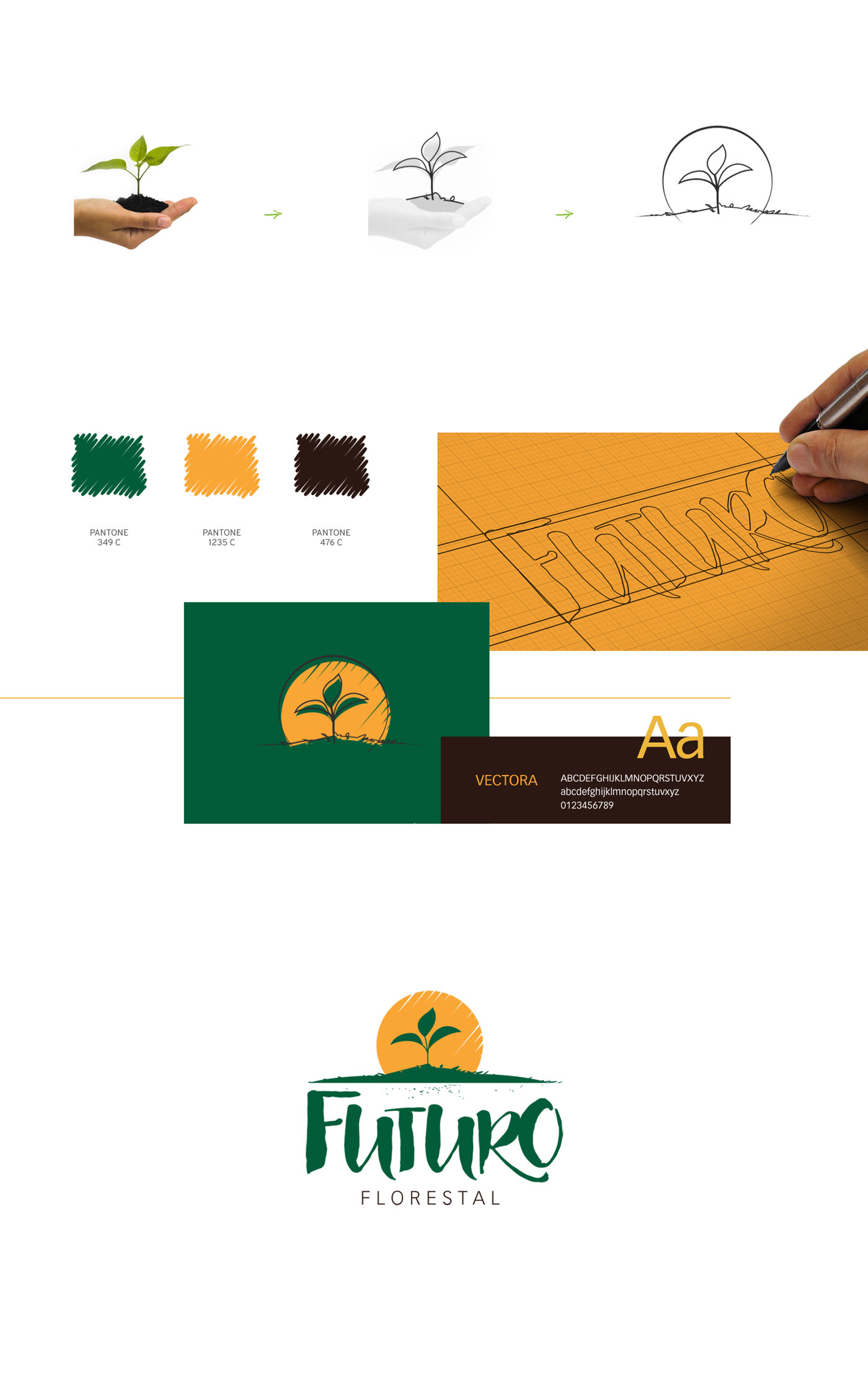 design brand branding  marca logo floresta ambiental identidade Logotype