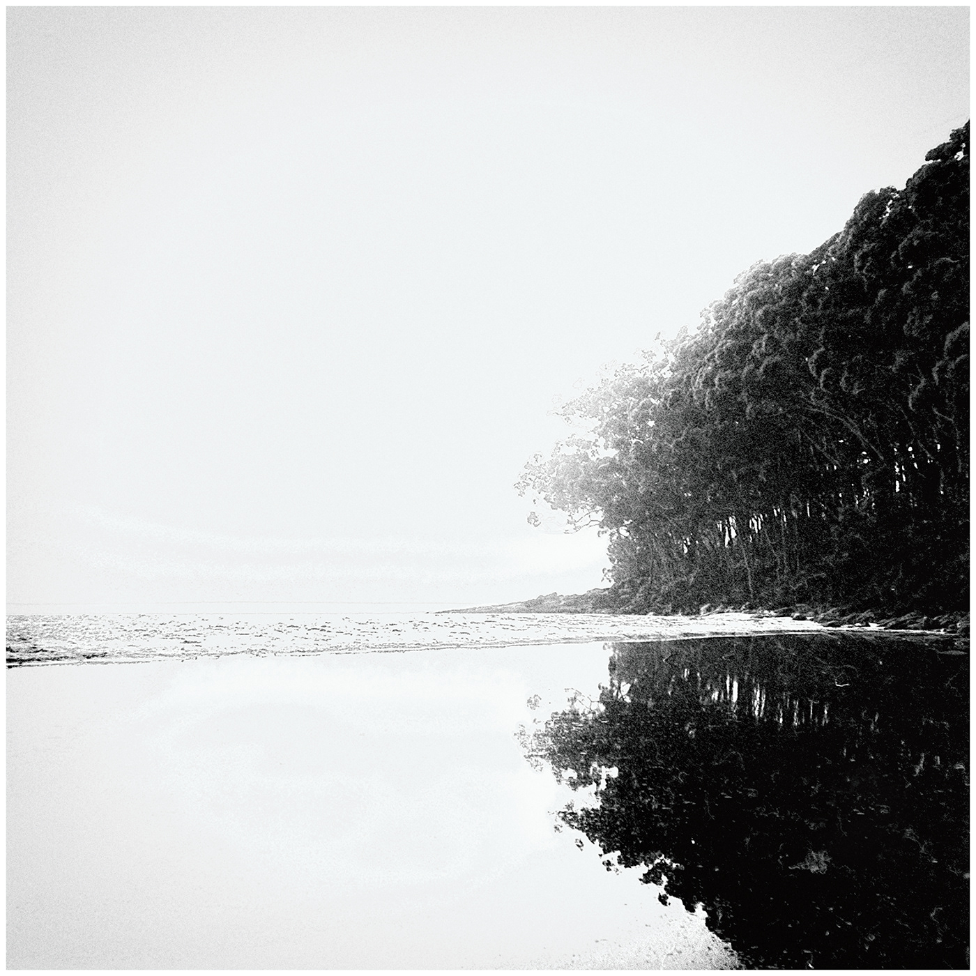 rolleiflex Film   medium format black and white monochrome Coast littoral Photography 