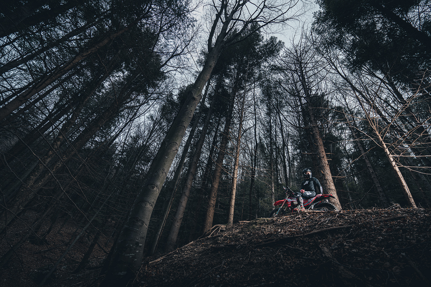 Photography  enduro mountain forest outdoorphotography