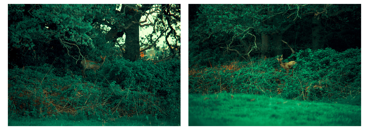aperture digital digital photography  environment Landscape Nature Outdoor Photography  portfolio United Kingdom