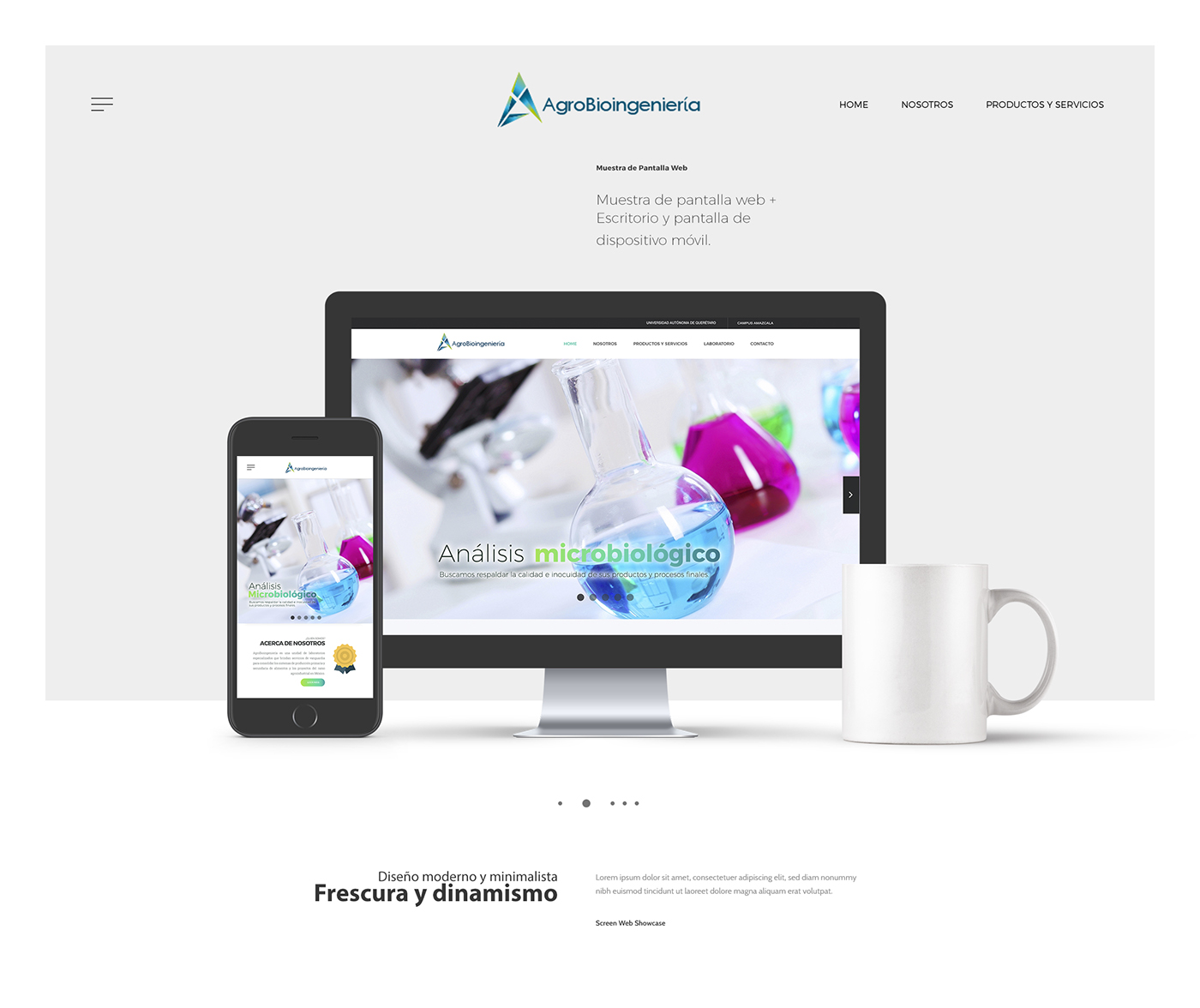 Web Design  graphic design  Diseño web diseño gráfico Web web page landing page