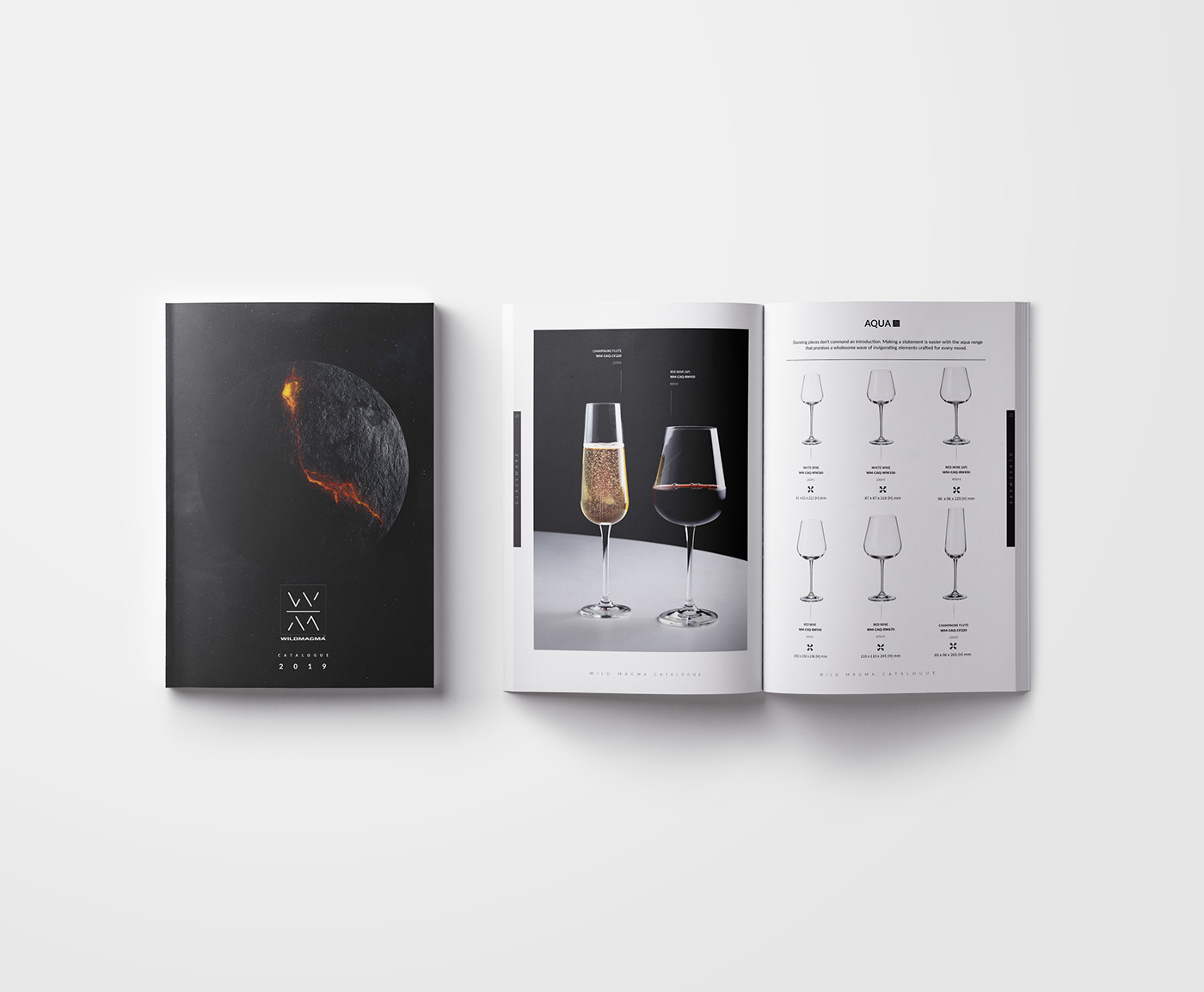 catalog Layout Product Photography typography  