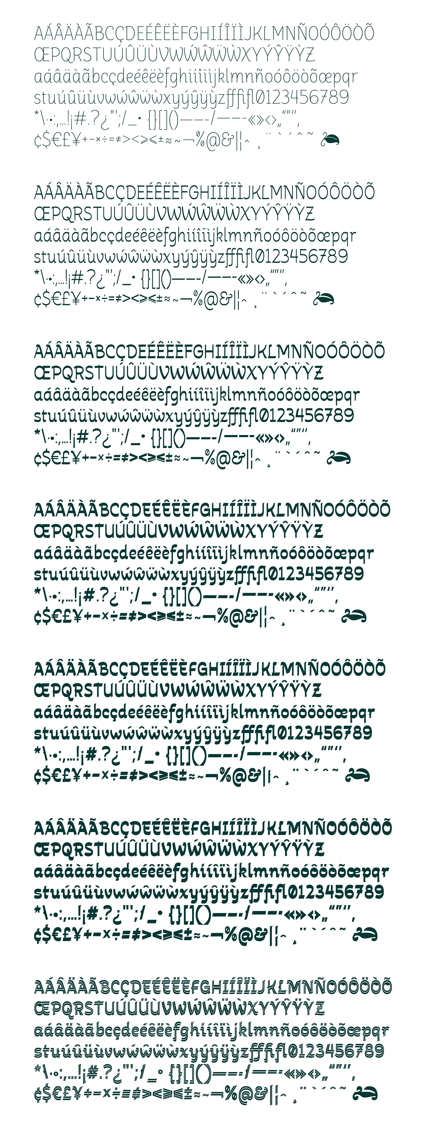 type Typeface typography   font type family specimen tipografia fonte Tree  biomimicry