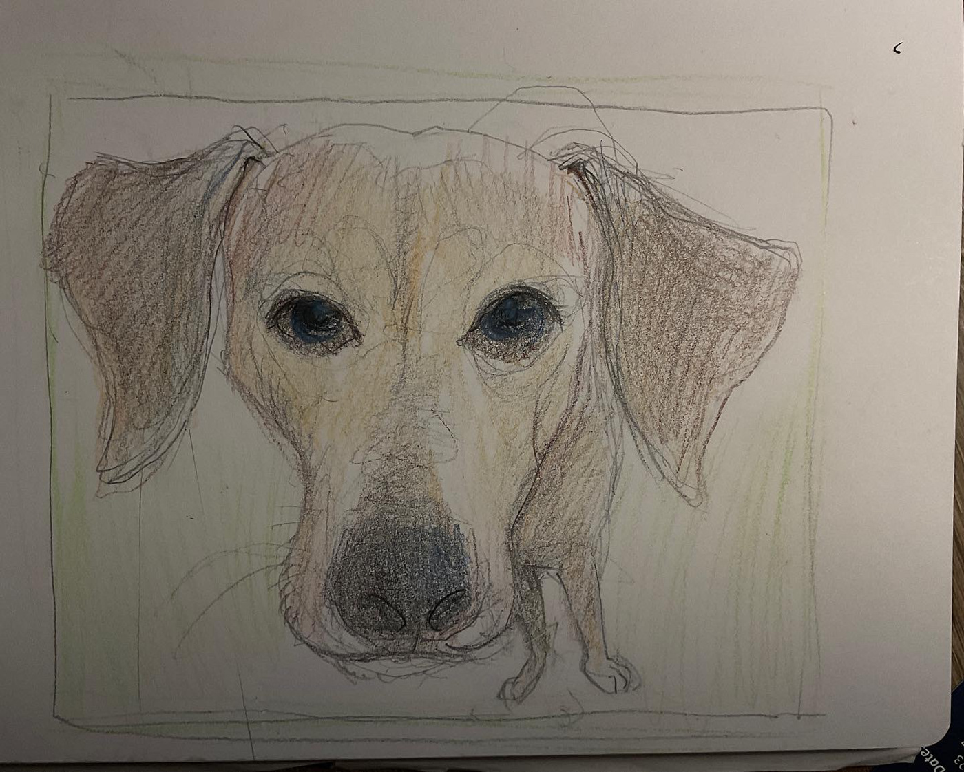 caricature   dog portrait
