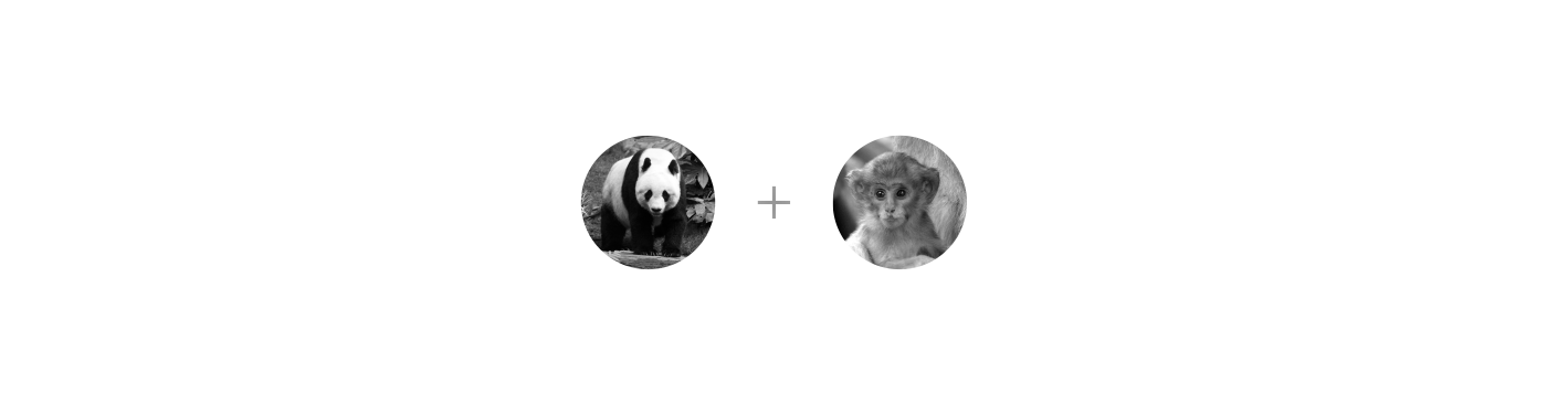 publishing   Panda  monkey pandamonk publisher black White simple monochrome