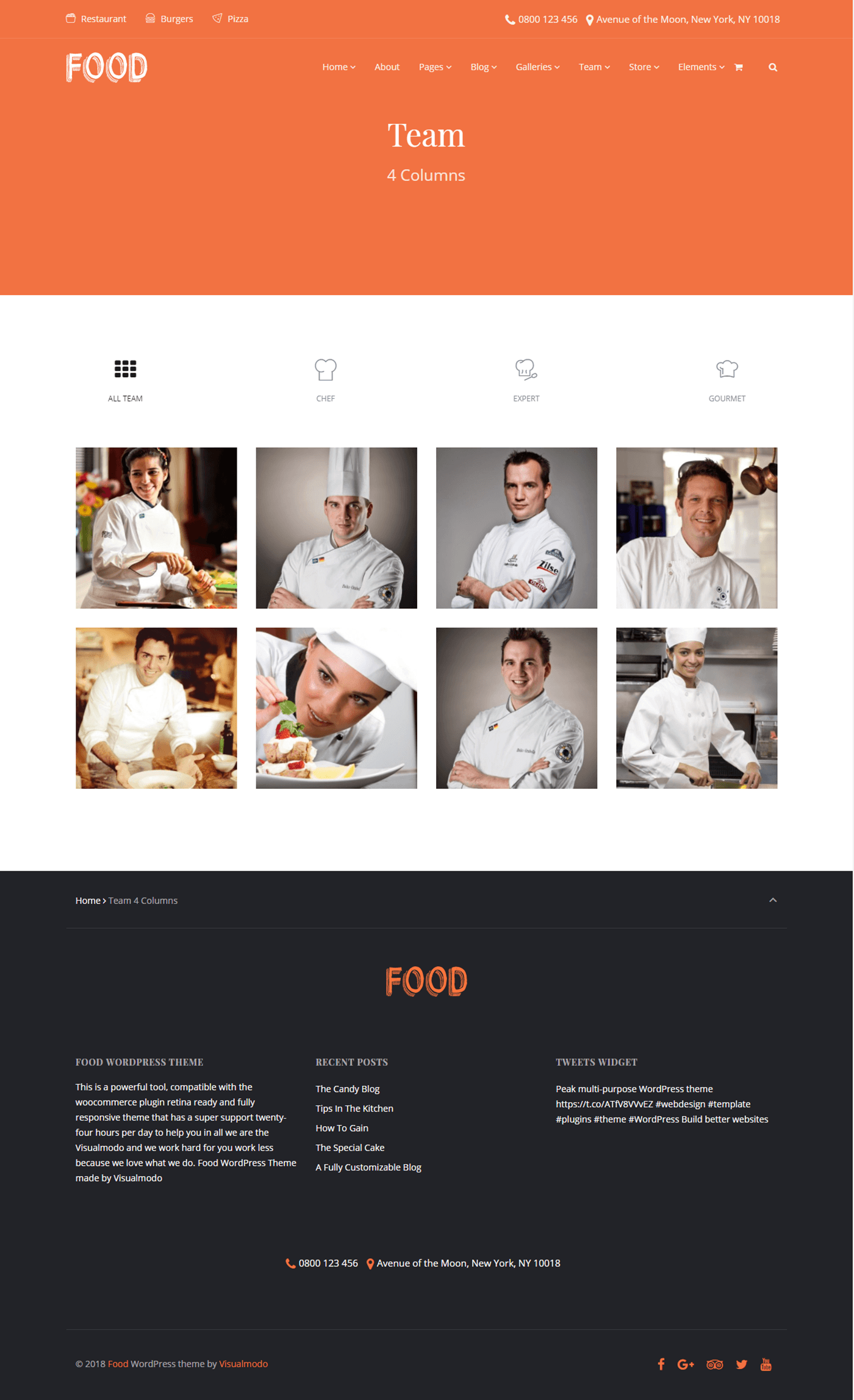 Food  wordpress Theme template plugins Responsive Web Design  Team members chef bar