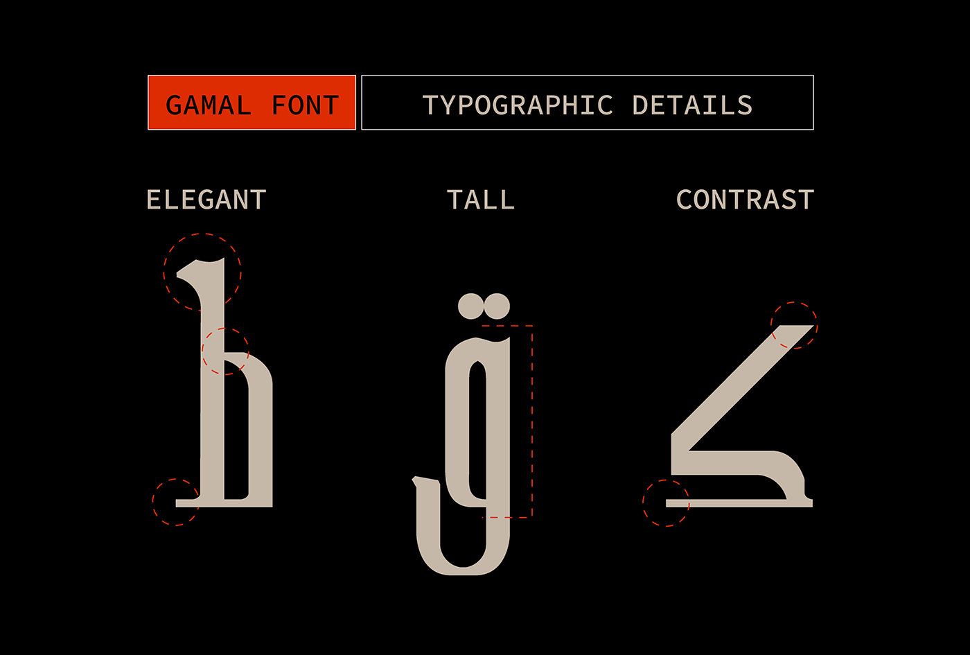 adobe illustrator Graphic Designer typedesign Typeface typography   vector