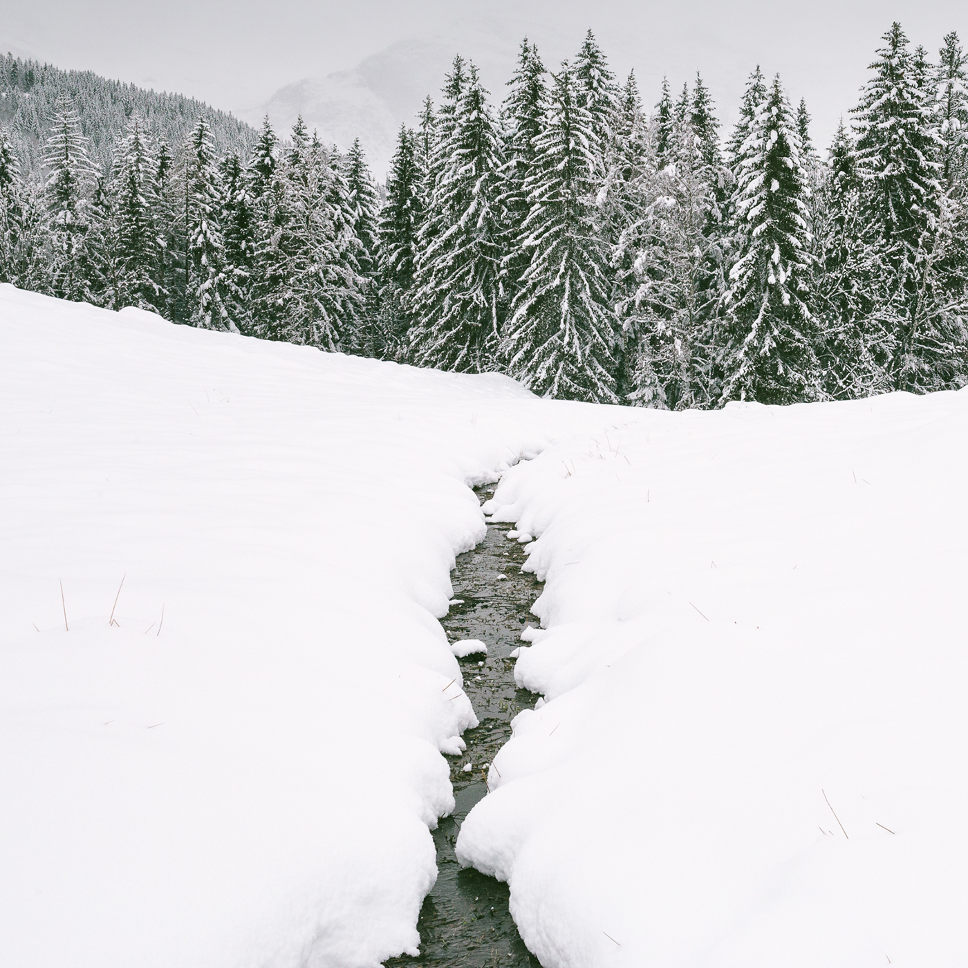 winter snow neige mountain chamonix pow chalet White 35mm Canon