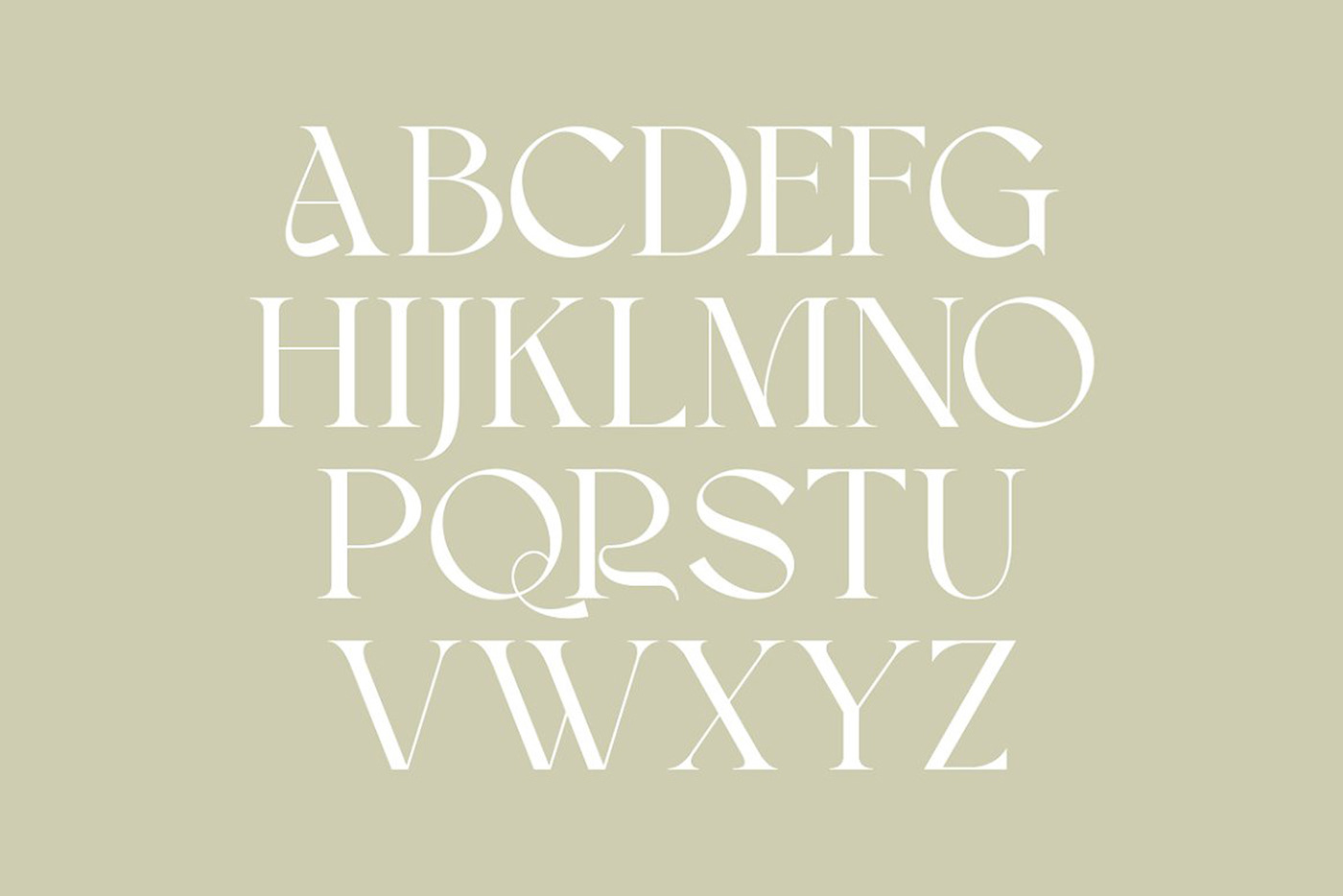 classic font classy serif display font Fashion Typeface ligature logo font Logotype modern font modern retro