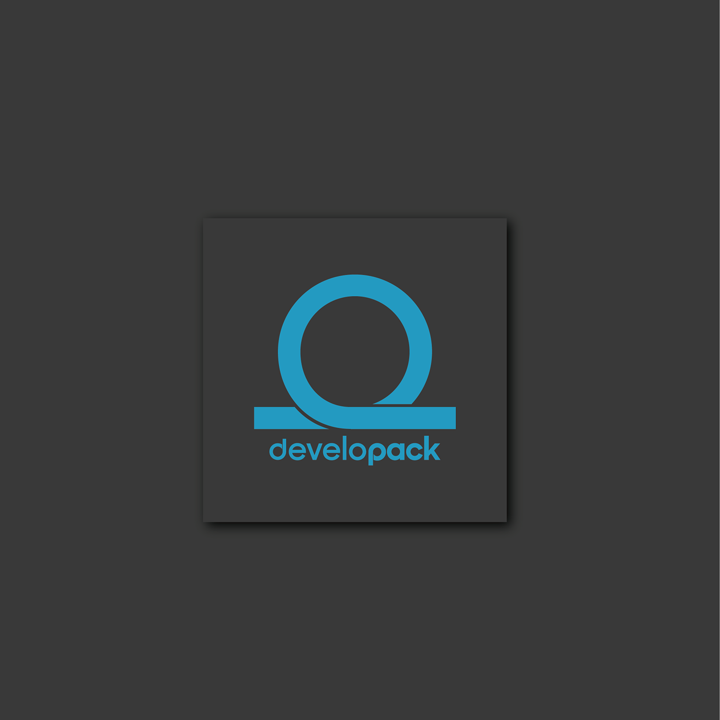 branding  logo design brand Developing