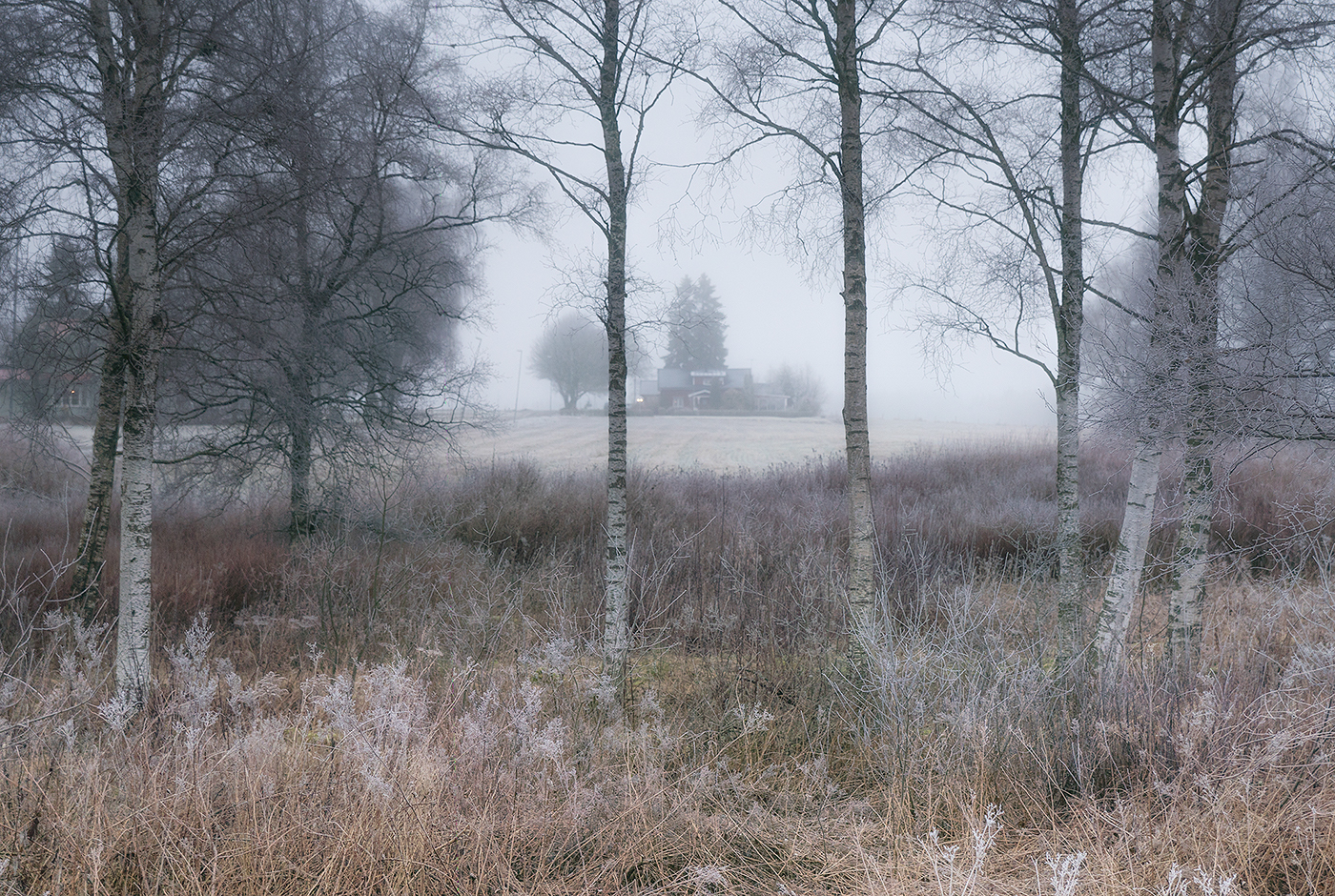 winter frost fields cold fog forest trees house