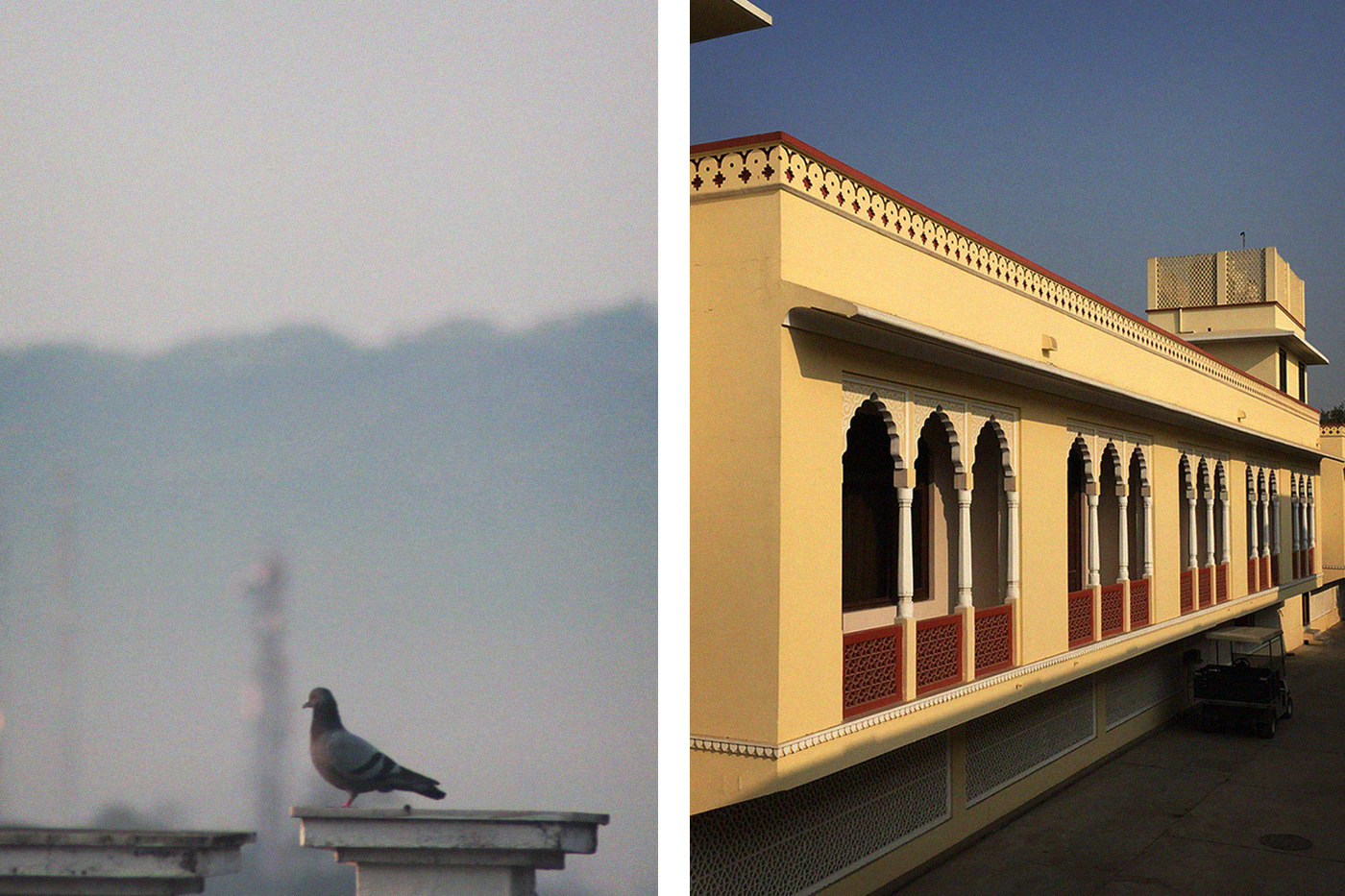 India birds palace Street street photography Travel colours rajestan Dehradun winter