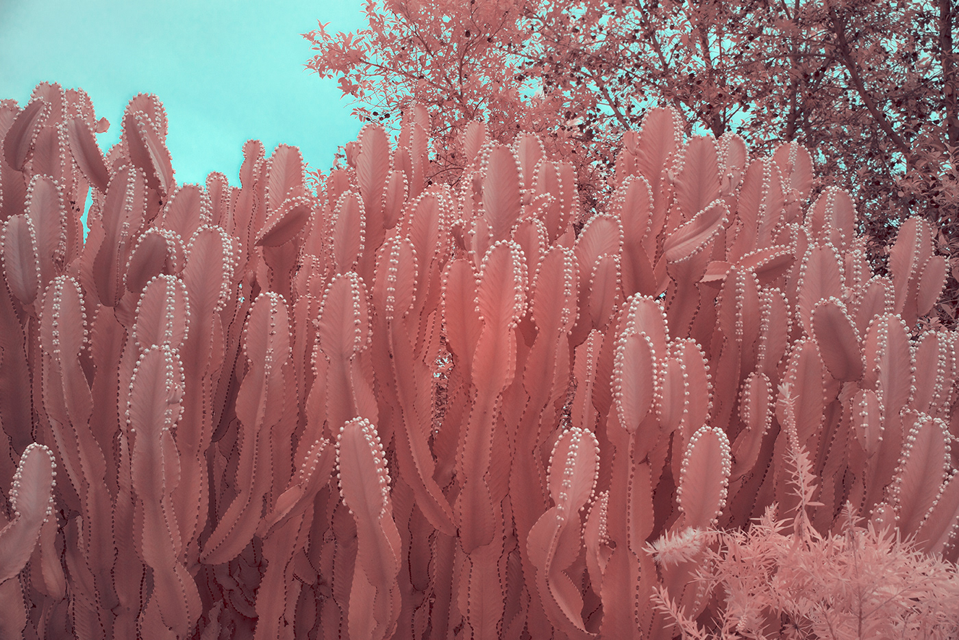alicante beach color creative españa infrared long exposure photo spain