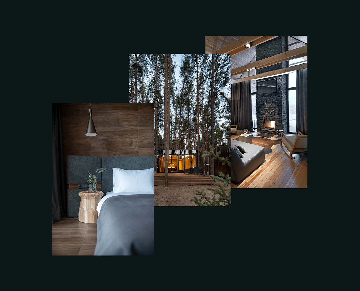beauty Booking eco hotel motion restaurant typography   UI Wellness architecture