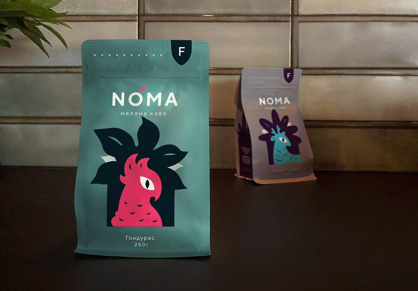 brandidng Coffee graphic design  ILLUSTRATION  jungle package Packaging simple student Tropical
