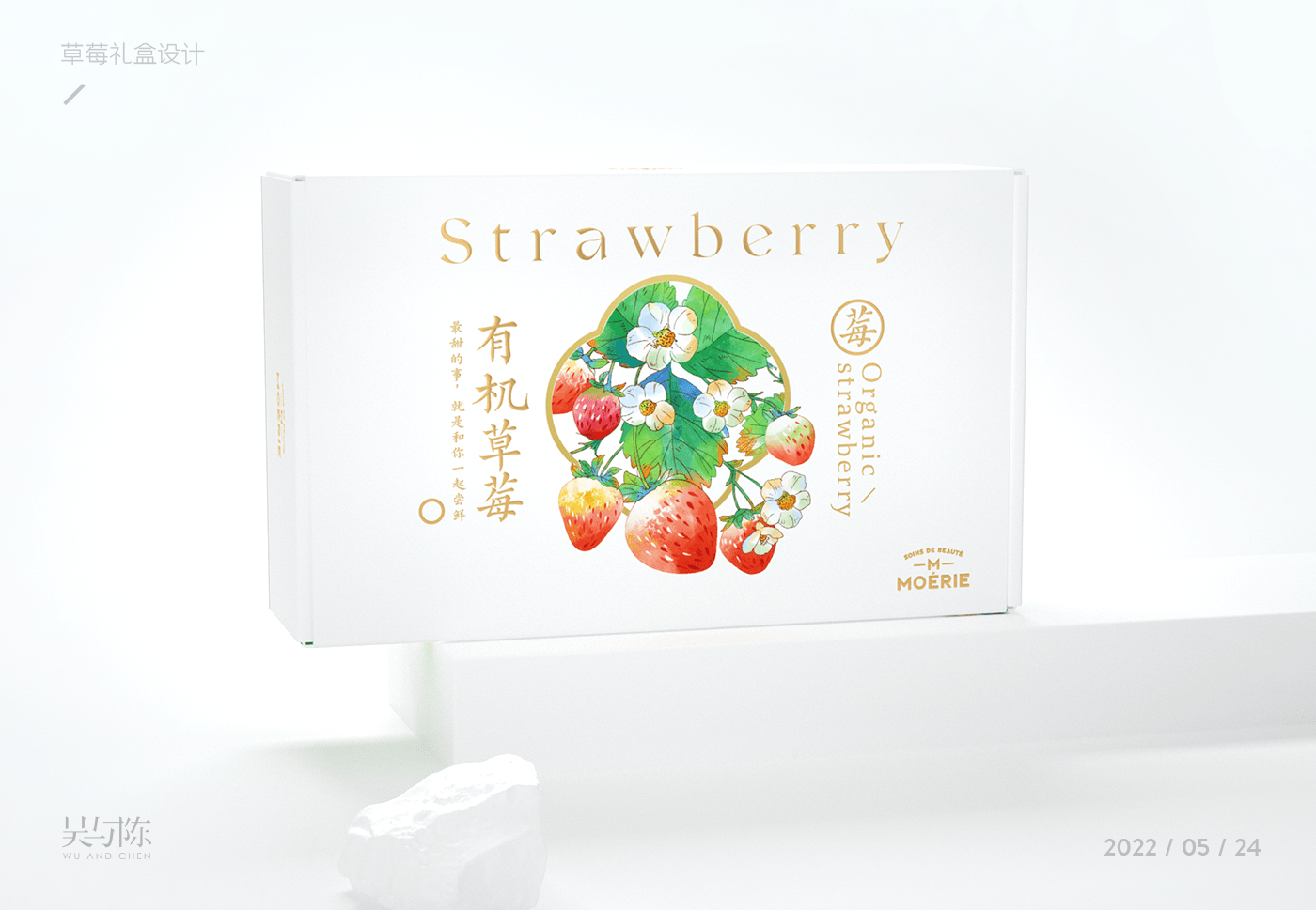 Food  Fruit fruit packaging graphic ILLUSTRATION  Packaging packaging design product design  product designer strawberry