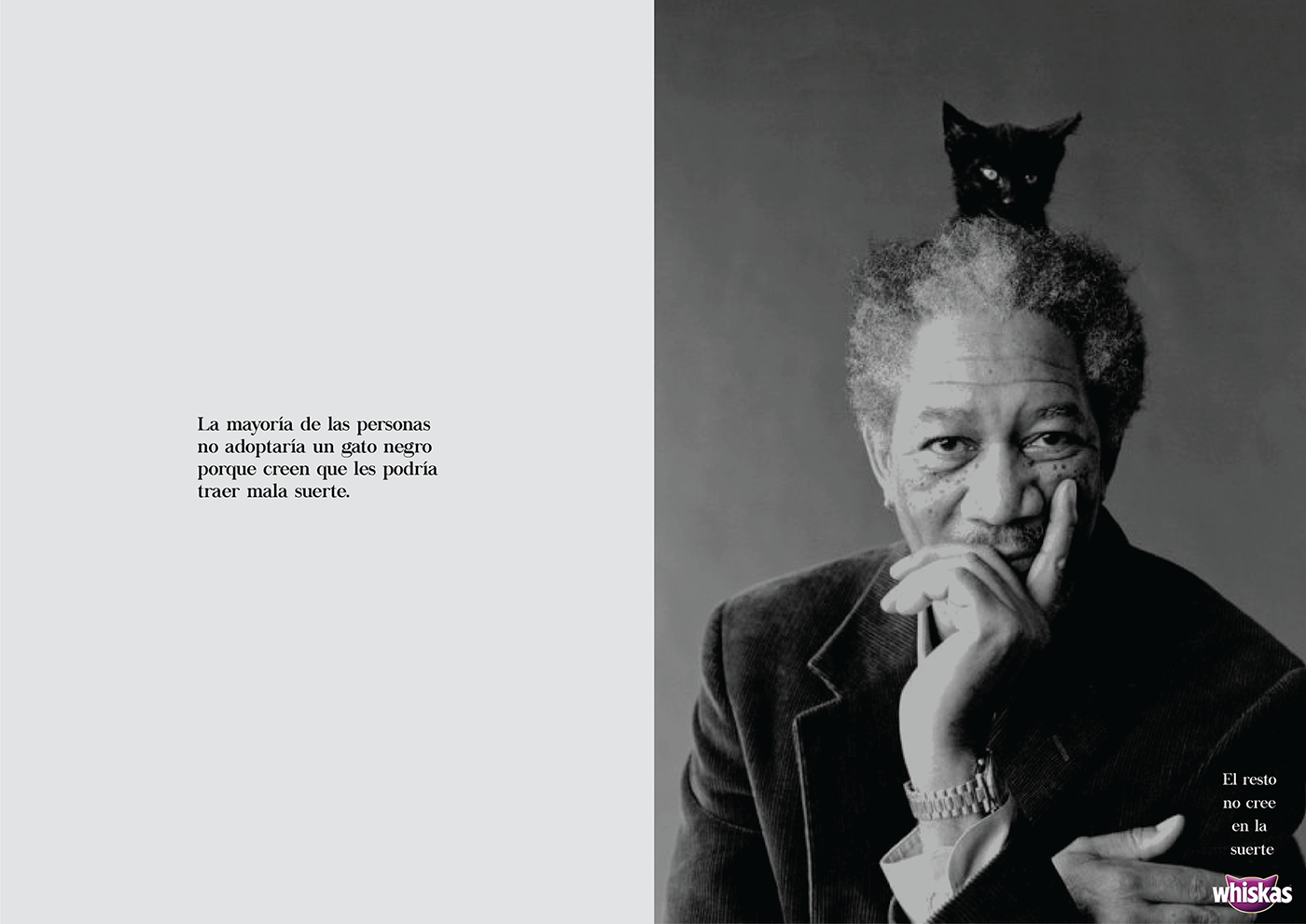campaña publicitaria diente diseño gato negro grafica premio Premio Diente publicidad whiskas