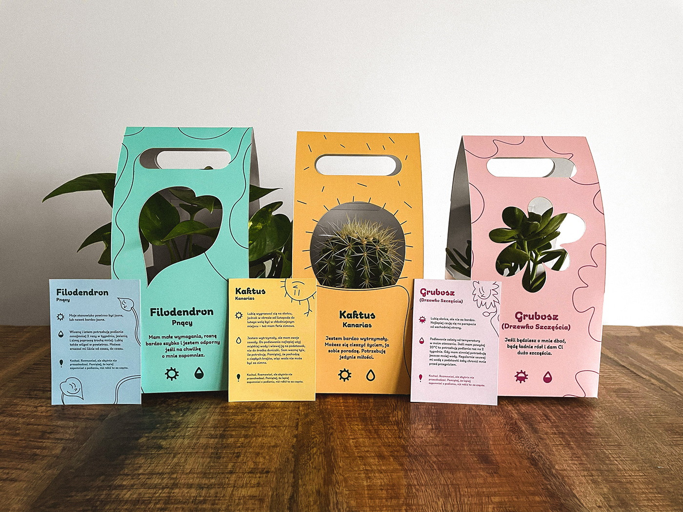 design Packaging packaging design natural organic plants botanical ILLUSTRATION  gift eco