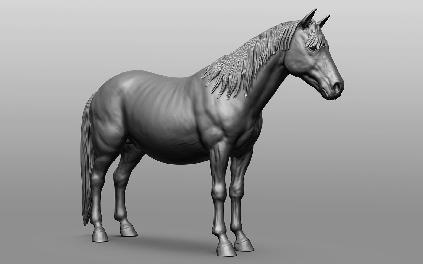 3D animal animals horse Horse racing horse3d horses Render Sculpt Zbrush