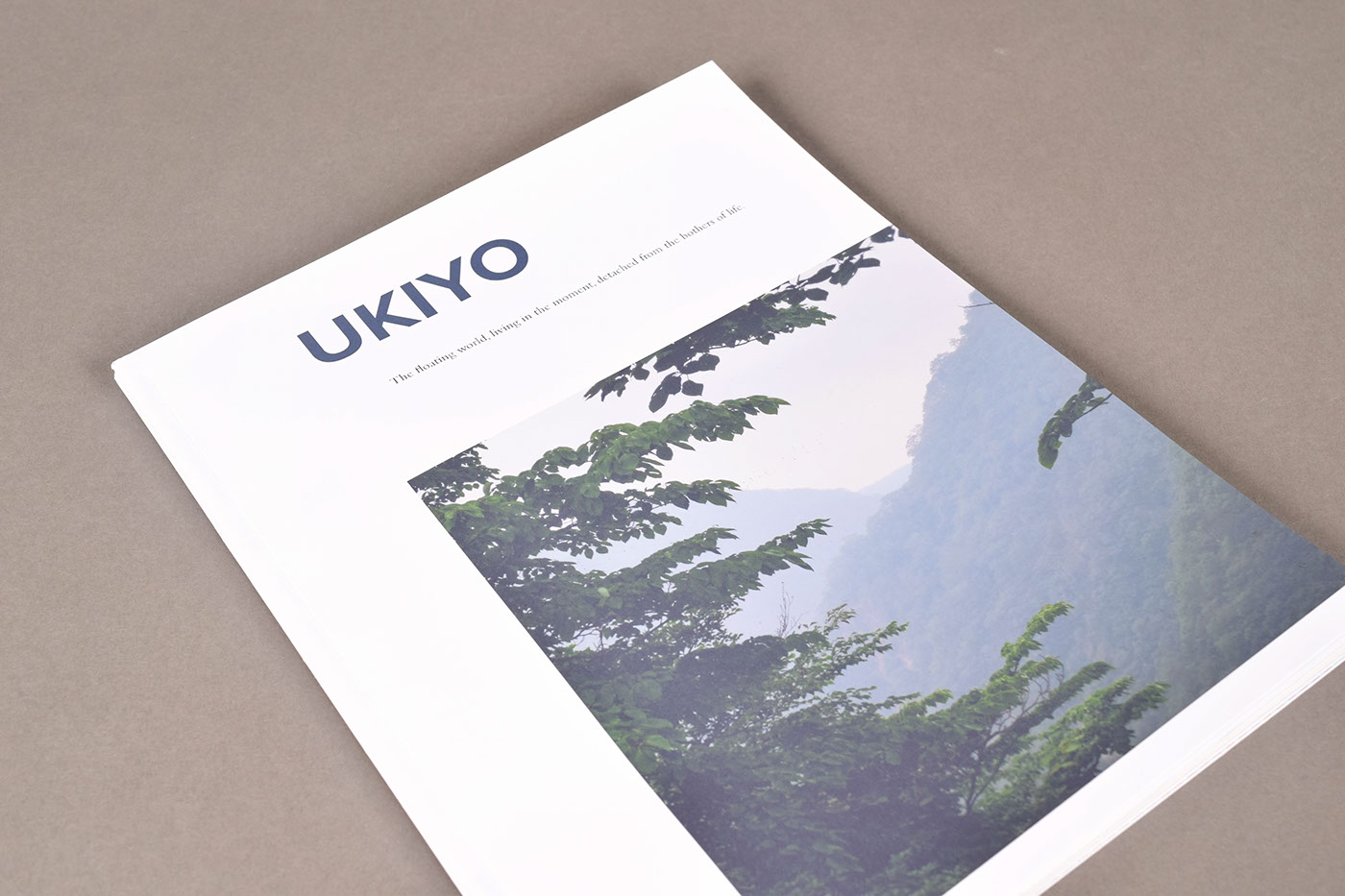 editorial book design typography   Photography  japan Travel