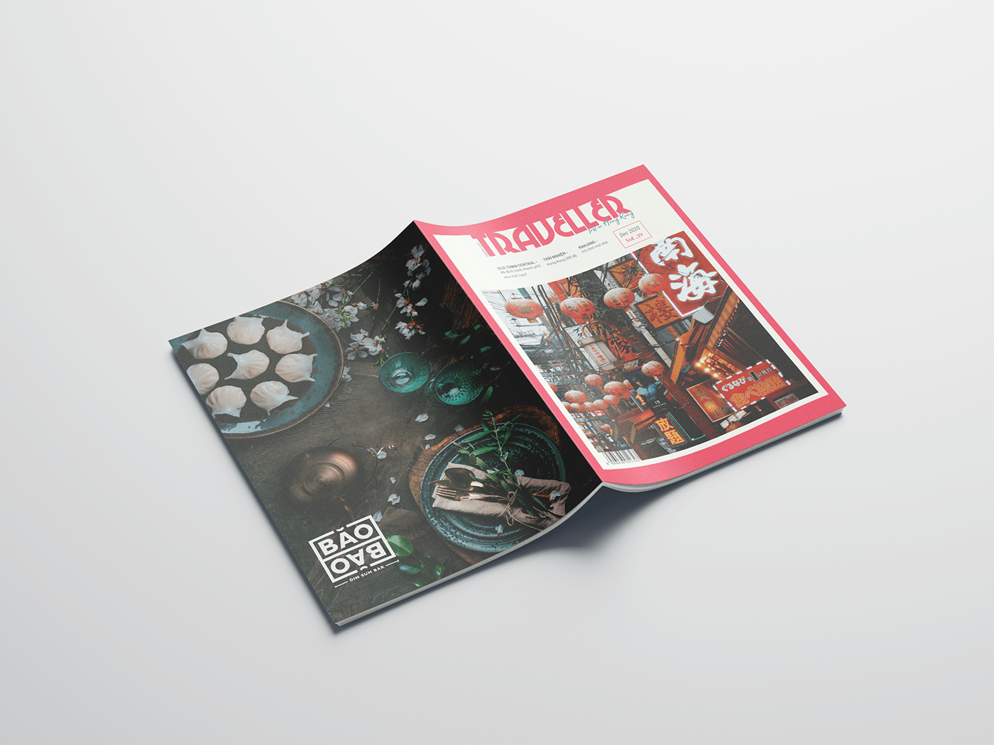 design graphic design  magazine Layout Design