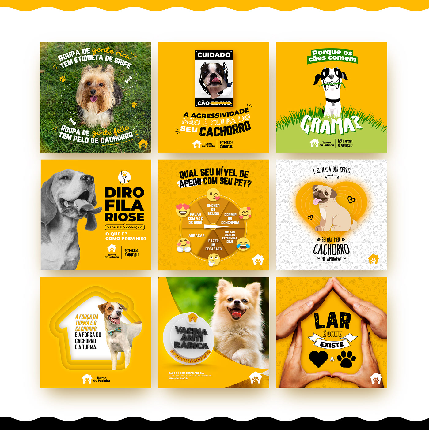 cachorro cães daycare design gráfico dog instagram petshop Redes Sociais Socialmedia Pet