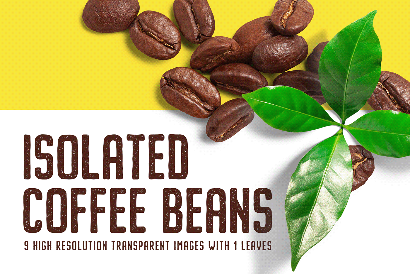 Coffee bean brown Isolated transparent cafe drink caffeine fresh grain