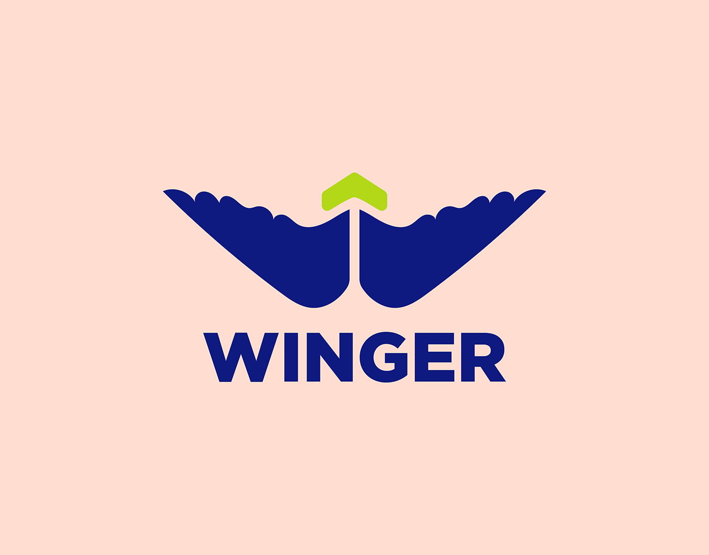 best logo brand identity branding  logo Logo Design logofolio vect plus wing logo