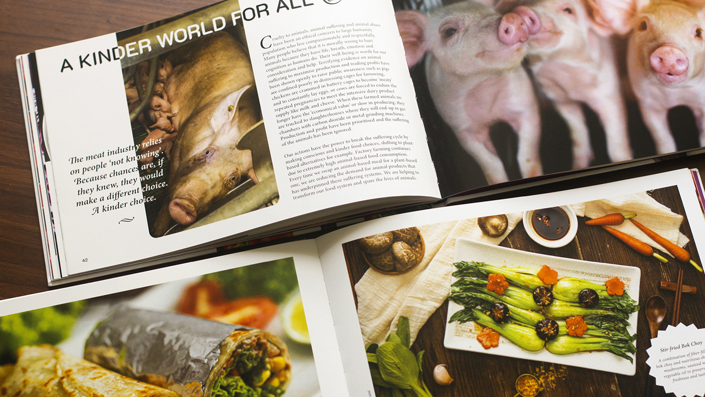 Health Education Vegetarian vegan medical book design graphic design  mindfulness kindness