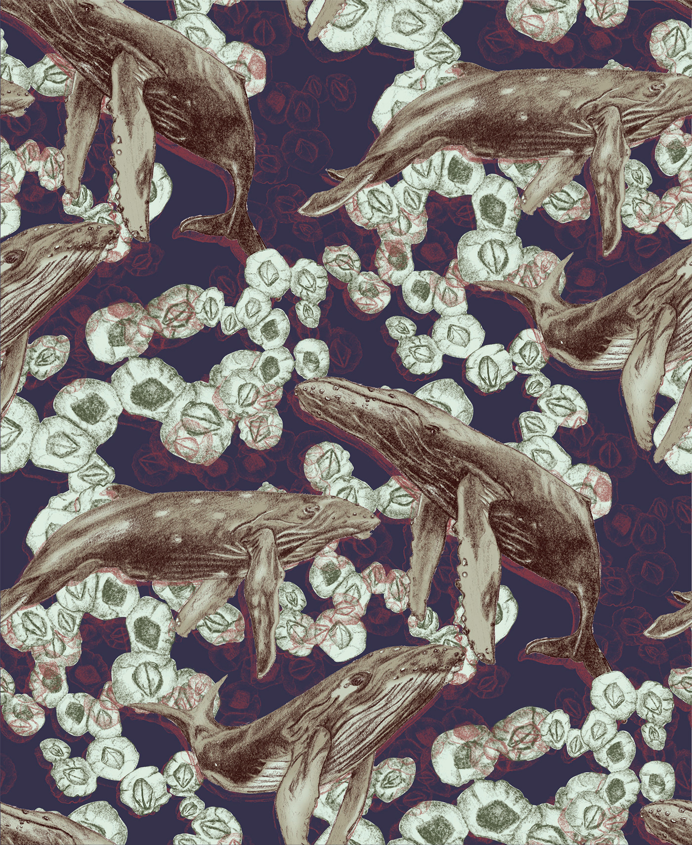 pattern design  surface design Illustrator adobe illustrator Pencil drawing Digital Art  digital pattern New England humpback whales barnacles
