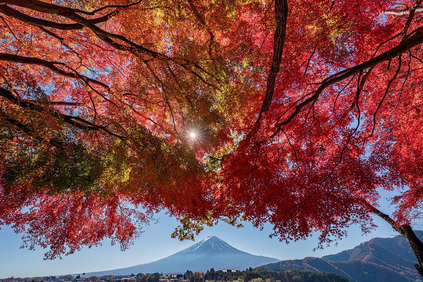 autumn autumn leaves Fall japan Landscape mountains Nature red traditional Travel