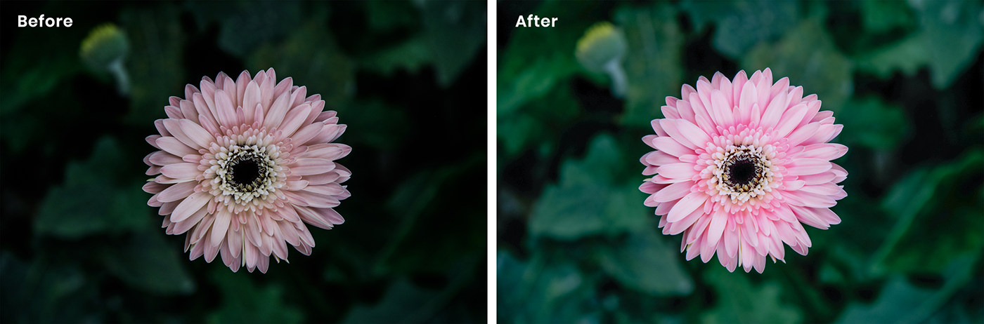 photo edit retouch color enhance before/after photoshop lightroom