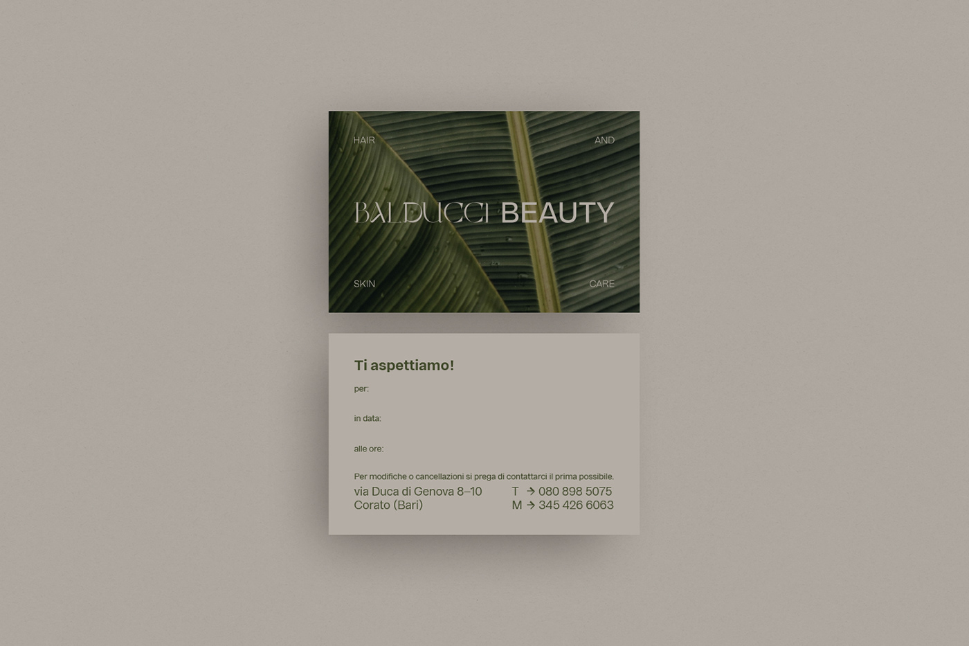 beauty branding  businesscard hair logo minimal Nature salon skincare stationary