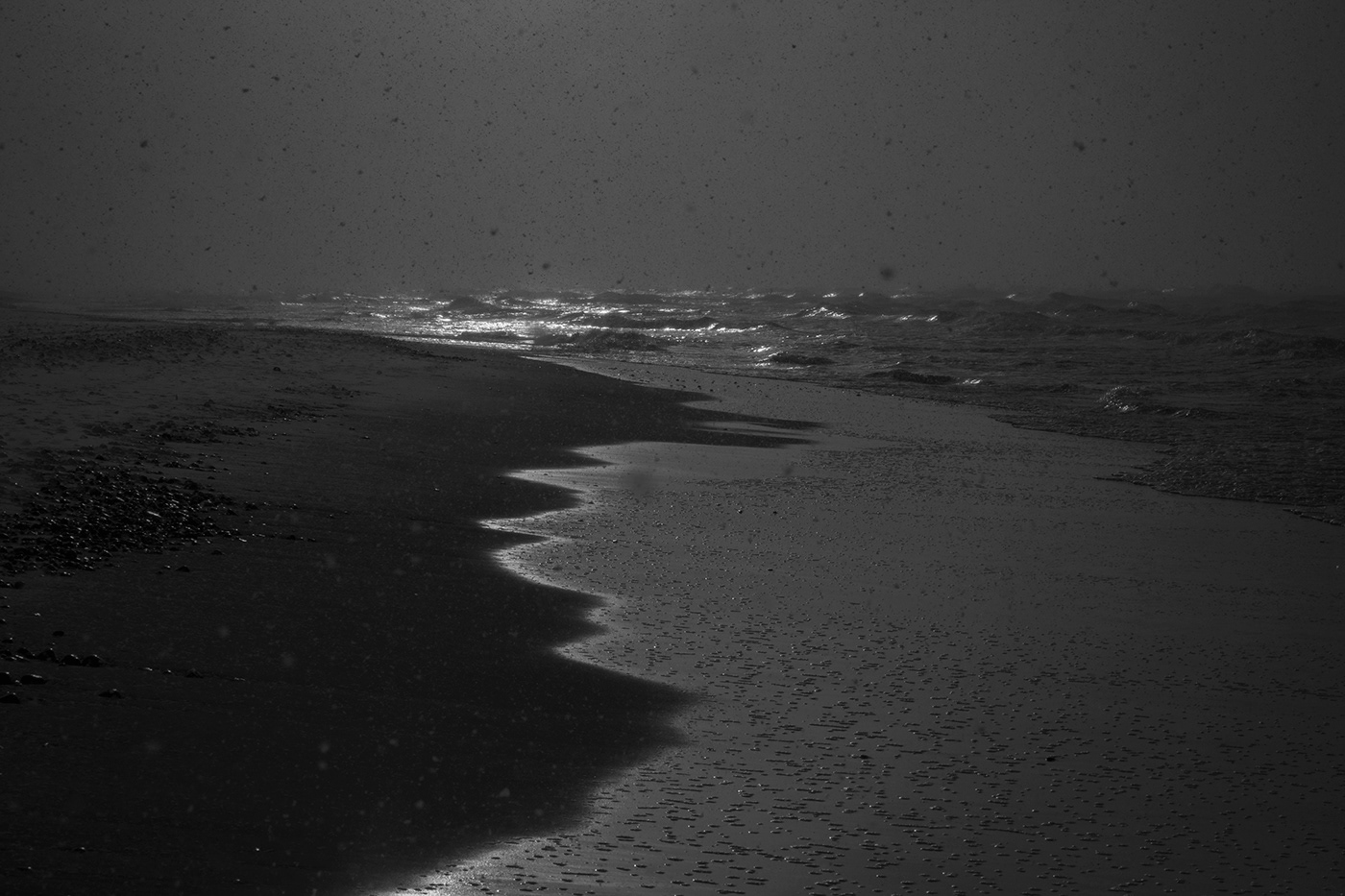 black and white lietuva lithuania Memelland Mindaugas Buivydas monochrome Delta Nemunas Delta