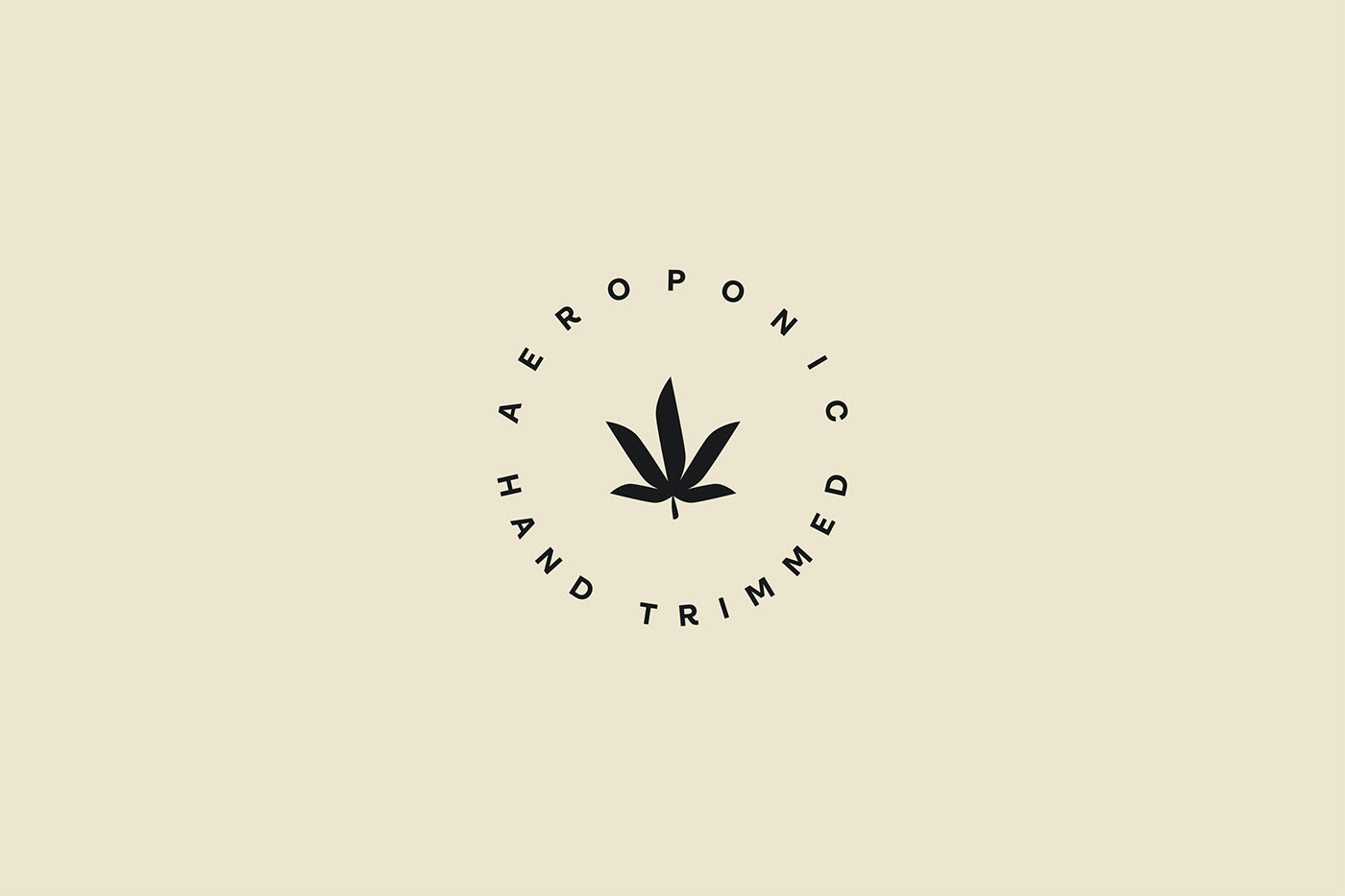 brand identity cannabis identity Logo Design Logotype marijuana Packaging typography   visual identity weed